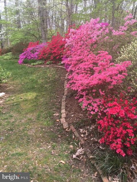 2424 S QUEEN ST, ARLINGTON, Virginia 22202, 4 Bedrooms Bedrooms, ,3 BathroomsBathrooms,Residential,For sale,2424 S QUEEN ST,VAAR2061926 MLS # VAAR2061926 2424 S QUEEN ST, ARLINGTON, Virginia 22202, 4 Bedrooms Bedrooms, ,3 BathroomsBathrooms,Residential,For sale,2424 S QUEEN ST,VAAR2061926 MLS # VAAR2061926