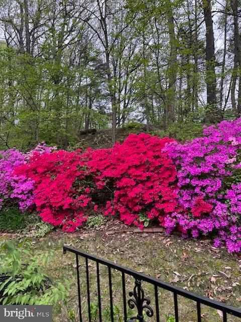 2424 S QUEEN ST, ARLINGTON, Virginia 22202, 4 Bedrooms Bedrooms, ,3 BathroomsBathrooms,Residential,For sale,2424 S QUEEN ST,VAAR2061926 MLS # VAAR2061926 2424 S QUEEN ST, ARLINGTON, Virginia 22202, 4 Bedrooms Bedrooms, ,3 BathroomsBathrooms,Residential,For sale,2424 S QUEEN ST,VAAR2061926 MLS # VAAR2061926