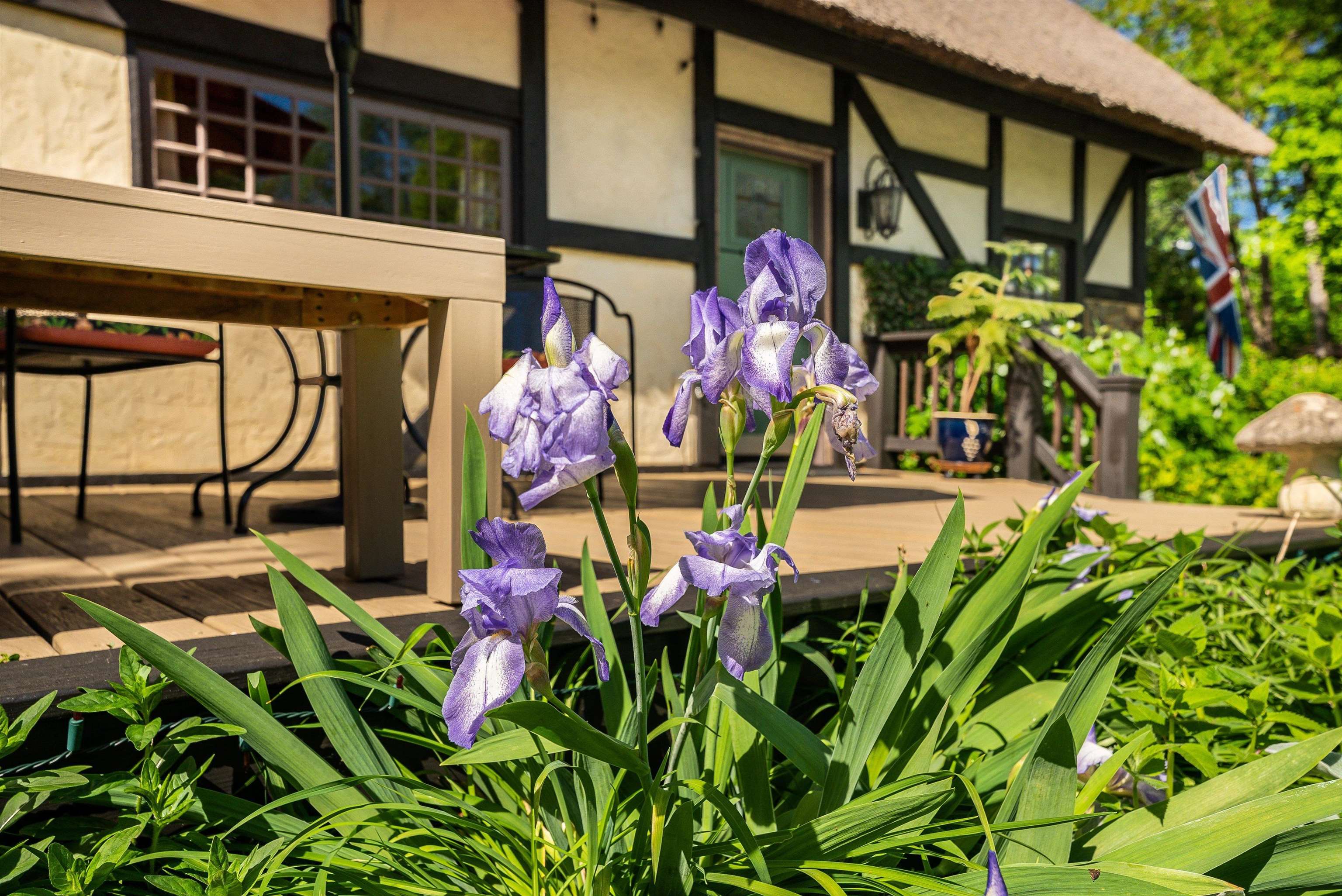 950 W BEVERLEY ST, STAUNTON, Virginia 24401, ,Commercial,950 W BEVERLEY ST,664509 MLS # 664509 950 W BEVERLEY ST, STAUNTON, Virginia 24401, ,Commercial,950 W BEVERLEY ST,664509 MLS # 664509