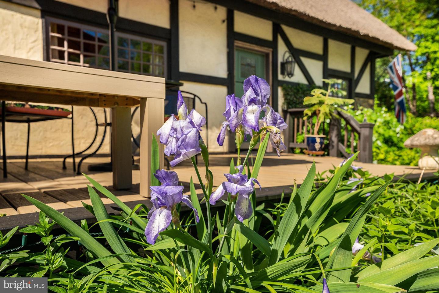 950 W BEVERLEY ST, STAUNTON, Virginia 24401, ,Land,For sale,950 W BEVERLEY ST,VASC2000656 MLS # VASC2000656