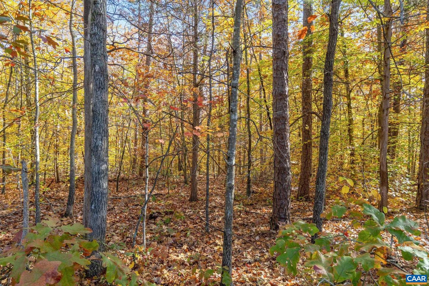 0 DELL PERKINS RD, LOUISA, Virginia 23093, ,Land,For sale,0 DELL PERKINS RD,670730 MLS # 670730