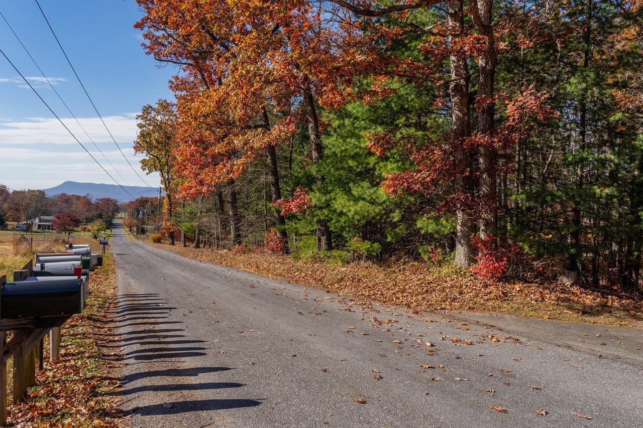 19511 HUCKLEBERRY RD, ELKTON, Virginia 22827, 4 Bedrooms Bedrooms, ,2 BathroomsBathrooms,Residential,19511 HUCKLEBERRY RD,670722 MLS # 670722 19511 HUCKLEBERRY RD, ELKTON, Virginia 22827, 4 Bedrooms Bedrooms, ,2 BathroomsBathrooms,Residential,19511 HUCKLEBERRY RD,670722 MLS # 670722