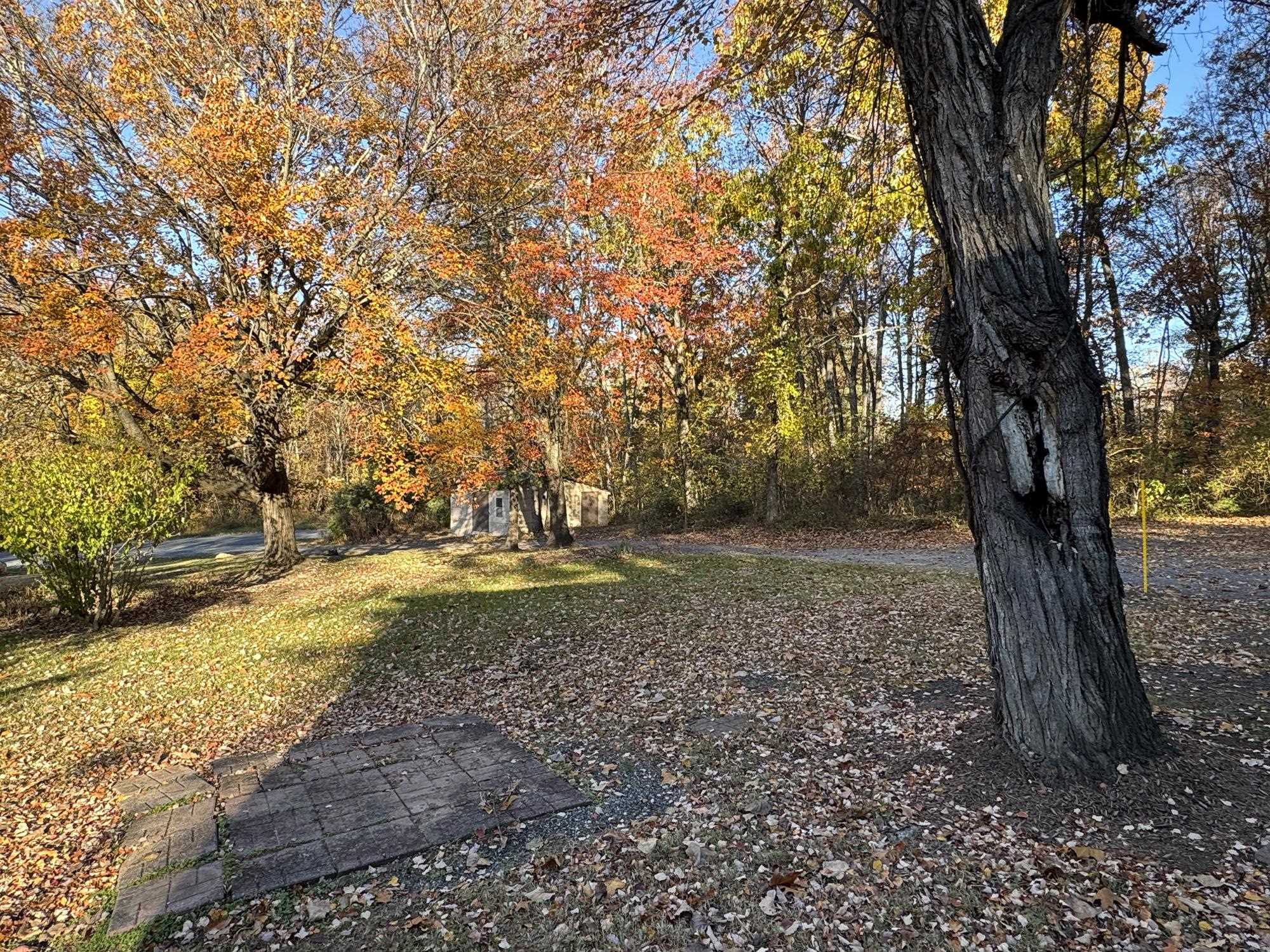 10351 ORE BANK RD, GROTTOES, Virginia 24441, 3 Bedrooms Bedrooms, ,2 BathroomsBathrooms,Residential,10351 ORE BANK RD,670727 MLS # 670727 10351 ORE BANK RD, GROTTOES, Virginia 24441, 3 Bedrooms Bedrooms, ,2 BathroomsBathrooms,Residential,10351 ORE BANK RD,670727 MLS # 670727