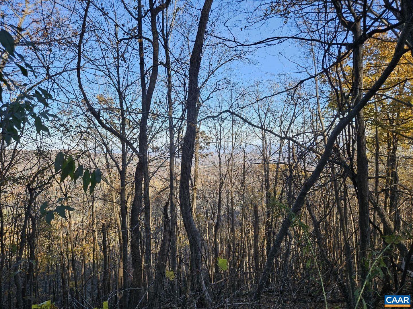 TBD LOT 17 SPRING BRANCH LN #17, FREE UNION, Virginia 22940, ,Land,For sale,TBD LOT 17 SPRING BRANCH LN #17,670741 MLS # 670741 TBD LOT 17 SPRING BRANCH LN #17, FREE UNION, Virginia 22940, ,Land,For sale,TBD LOT 17 SPRING BRANCH LN #17,670741 MLS # 670741