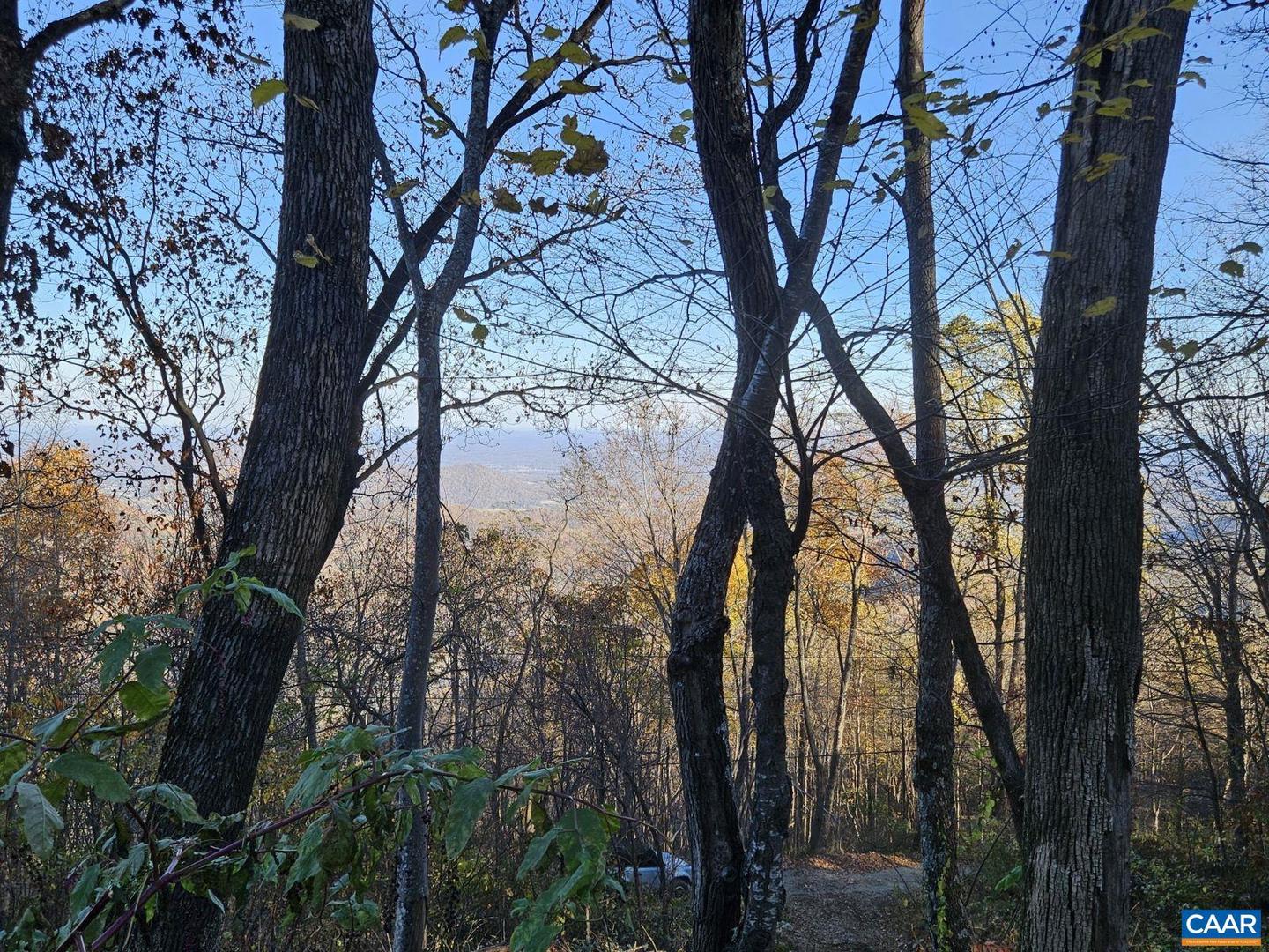 TBD LOT 17 SPRING BRANCH LN #17, FREE UNION, Virginia 22940, ,Land,For sale,TBD LOT 17 SPRING BRANCH LN #17,670741 MLS # 670741 TBD LOT 17 SPRING BRANCH LN #17, FREE UNION, Virginia 22940, ,Land,For sale,TBD LOT 17 SPRING BRANCH LN #17,670741 MLS # 670741