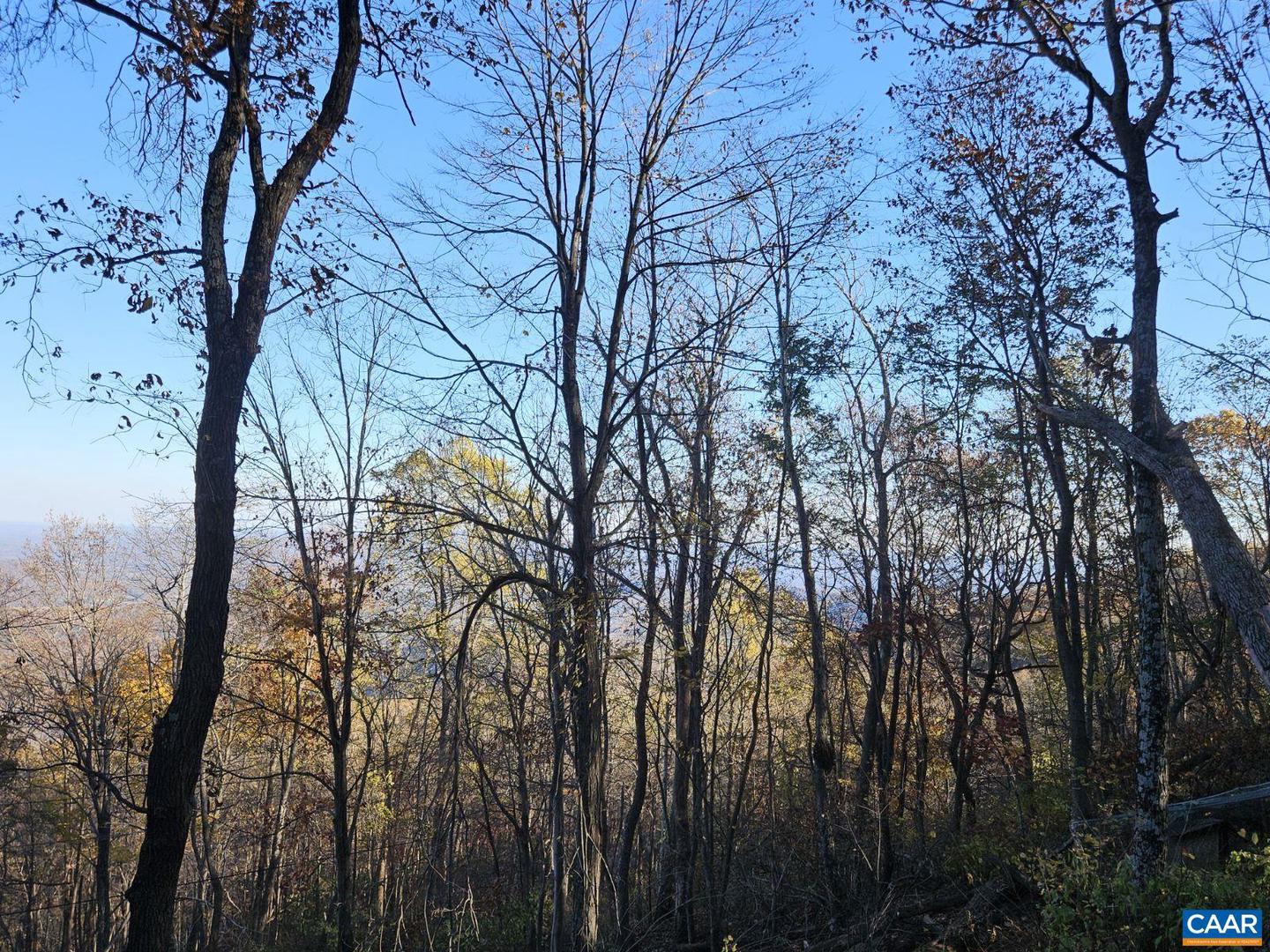 TBD LOT 17 SPRING BRANCH LN #17, FREE UNION, Virginia 22940, ,Land,For sale,TBD LOT 17 SPRING BRANCH LN #17,670741 MLS # 670741 TBD LOT 17 SPRING BRANCH LN #17, FREE UNION, Virginia 22940, ,Land,For sale,TBD LOT 17 SPRING BRANCH LN #17,670741 MLS # 670741