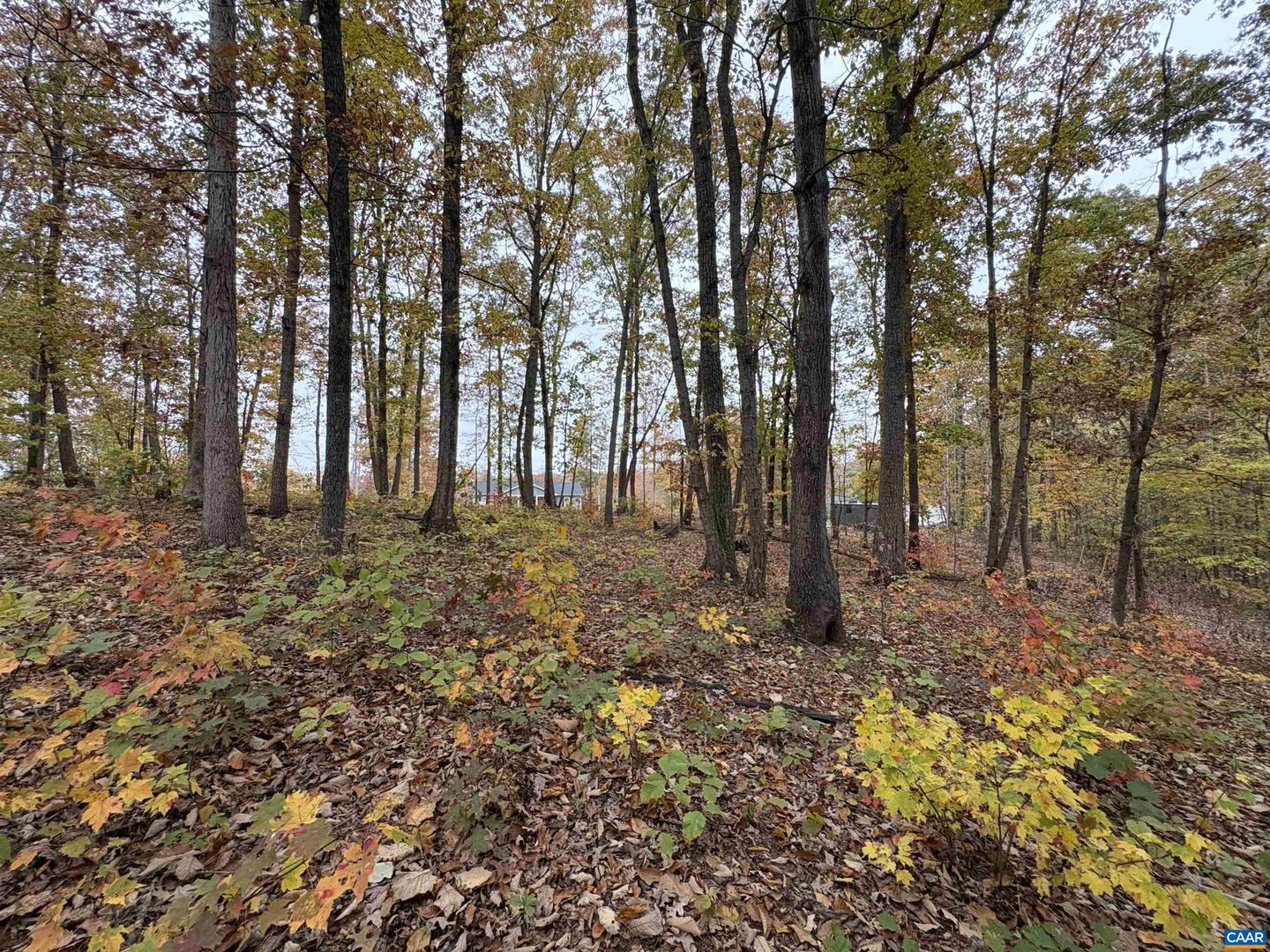 TBD W 8TH ST, MINERAL, Virginia 23117, ,Land,For sale,TBD W 8TH ST,670743 MLS # 670743 TBD W 8TH ST, MINERAL, Virginia 23117, ,Land,For sale,TBD W 8TH ST,670743 MLS # 670743