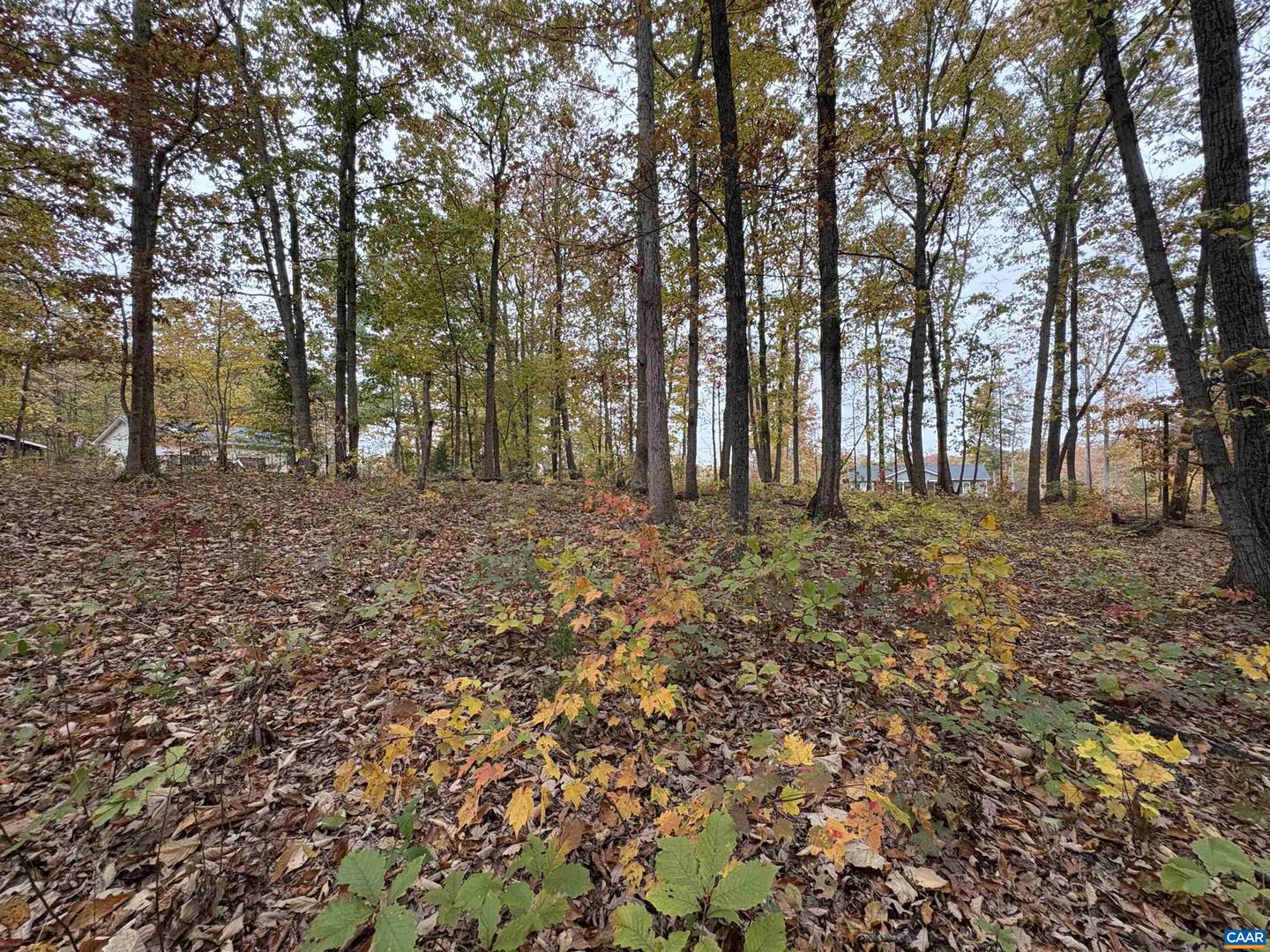 TBD W 8TH ST, MINERAL, Virginia 23117, ,Land,For sale,TBD W 8TH ST,670743 MLS # 670743 TBD W 8TH ST, MINERAL, Virginia 23117, ,Land,For sale,TBD W 8TH ST,670743 MLS # 670743