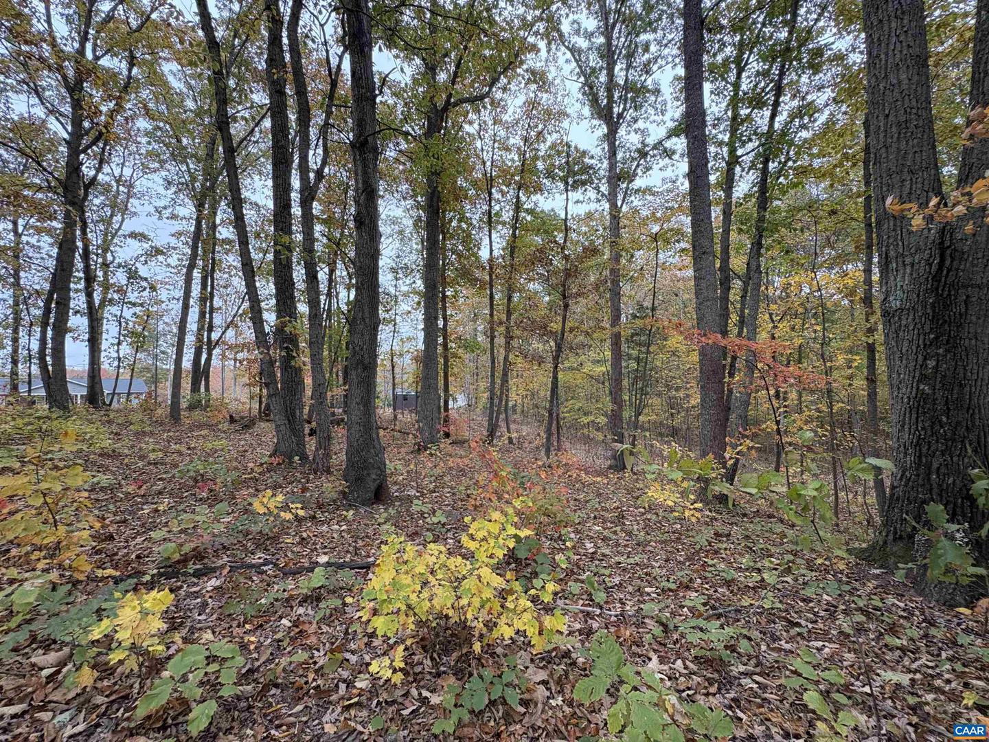 TBD W 8TH ST, MINERAL, Virginia 23117, ,Land,For sale,TBD W 8TH ST,670743 MLS # 670743 TBD W 8TH ST, MINERAL, Virginia 23117, ,Land,For sale,TBD W 8TH ST,670743 MLS # 670743