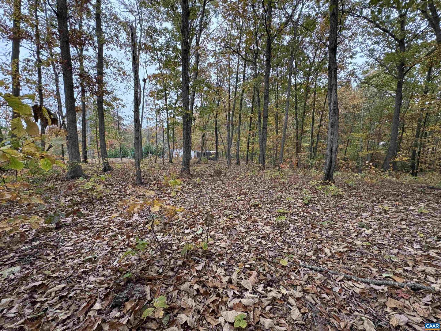 TBD W 8TH ST, MINERAL, Virginia 23117, ,Land,For sale,TBD W 8TH ST,670743 MLS # 670743 TBD W 8TH ST, MINERAL, Virginia 23117, ,Land,For sale,TBD W 8TH ST,670743 MLS # 670743