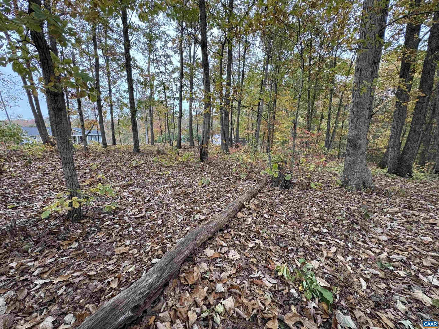 TBD W 8TH ST, MINERAL, Virginia 23117, ,Land,For sale,TBD W 8TH ST,670743 MLS # 670743 TBD W 8TH ST, MINERAL, Virginia 23117, ,Land,For sale,TBD W 8TH ST,670743 MLS # 670743