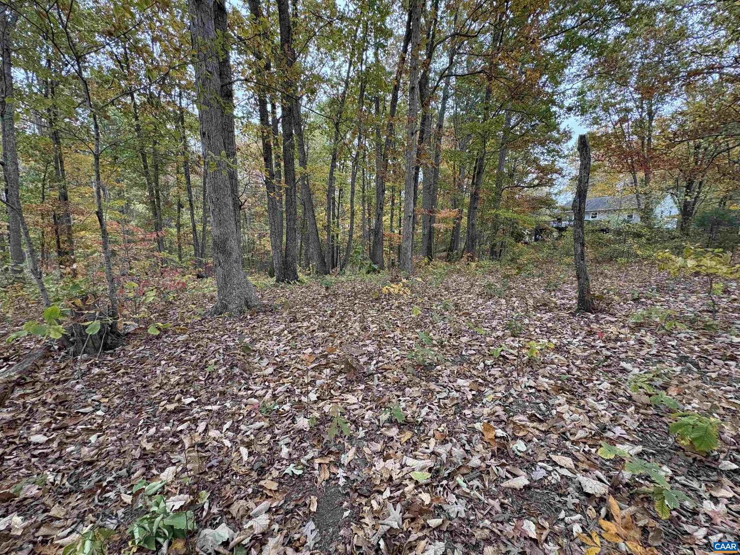 TBD W 8TH ST, MINERAL, Virginia 23117, ,Land,For sale,TBD W 8TH ST,670743 MLS # 670743 TBD W 8TH ST, MINERAL, Virginia 23117, ,Land,For sale,TBD W 8TH ST,670743 MLS # 670743