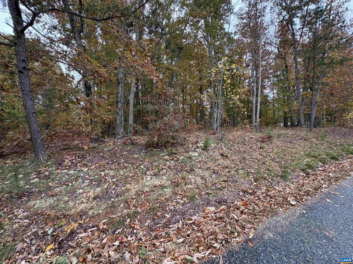 TBD W 8TH ST, MINERAL, Virginia 23117, ,Land,For sale,TBD W 8TH ST,670743 MLS # 670743 TBD W 8TH ST, MINERAL, Virginia 23117, ,Land,For sale,TBD W 8TH ST,670743 MLS # 670743