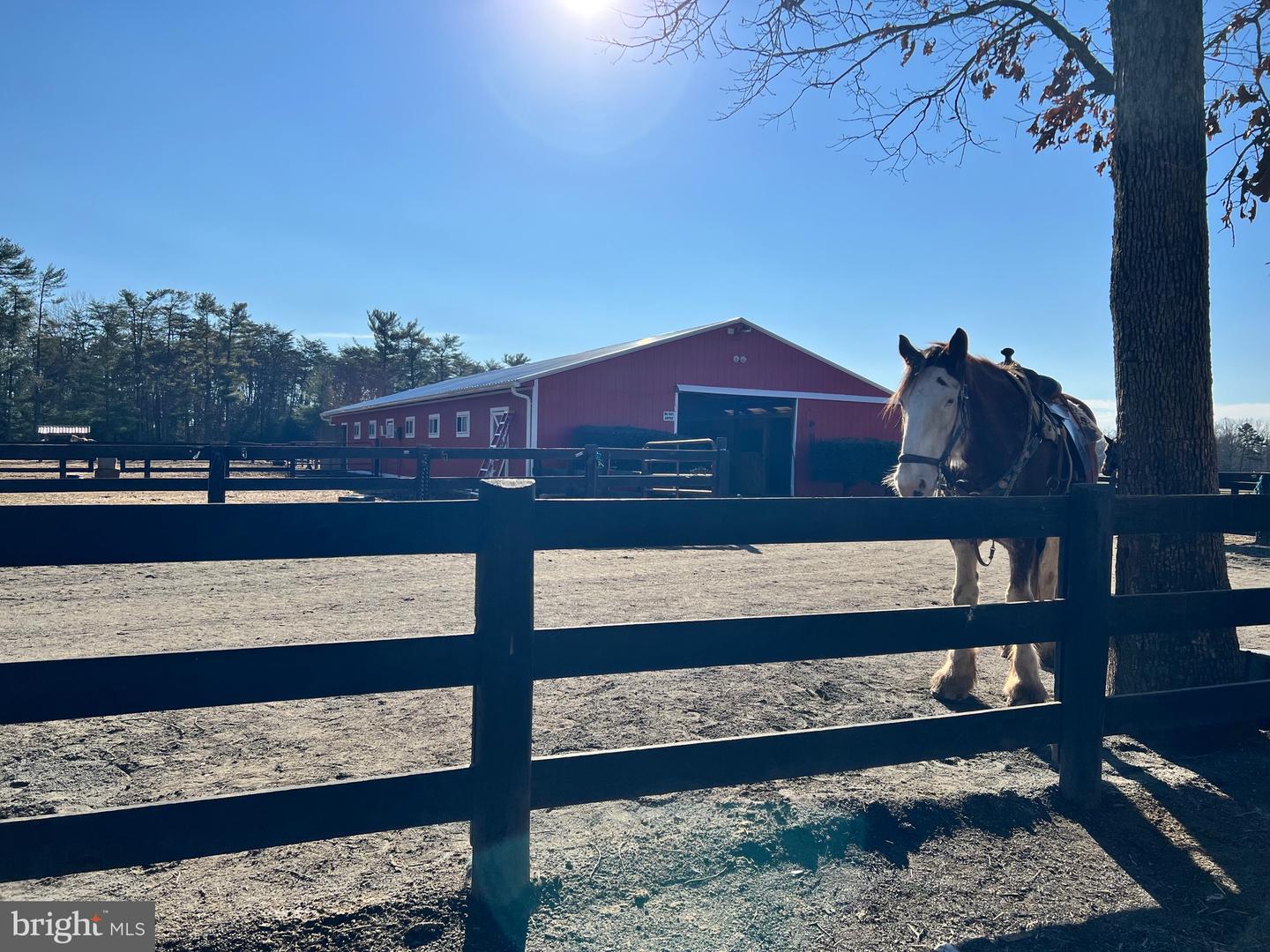 102 OAKMONT DR, GORDONSVILLE, Virginia 22942, ,Land,For sale,102 OAKMONT DR,VALA2008858 MLS # VALA2008858 102 OAKMONT DR, GORDONSVILLE, Virginia 22942, ,Land,For sale,102 OAKMONT DR,VALA2008858 MLS # VALA2008858