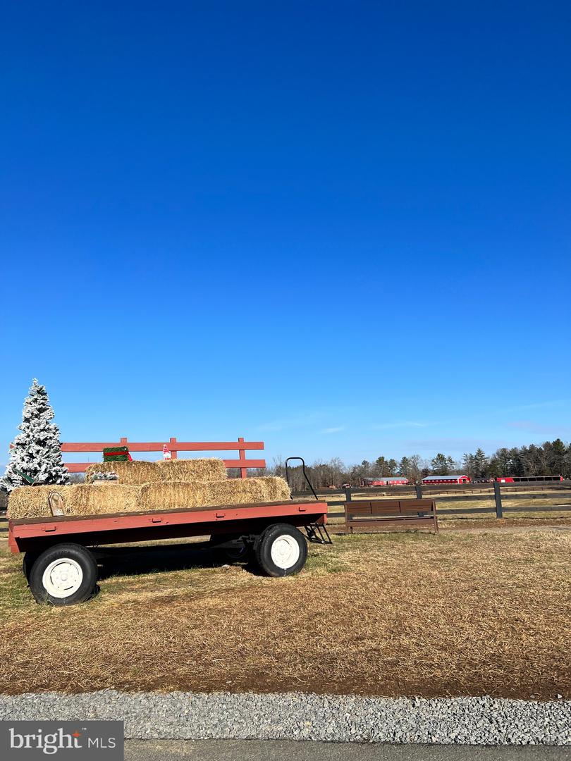 102 OAKMONT DR, GORDONSVILLE, Virginia 22942, ,Land,For sale,102 OAKMONT DR,VALA2008858 MLS # VALA2008858 102 OAKMONT DR, GORDONSVILLE, Virginia 22942, ,Land,For sale,102 OAKMONT DR,VALA2008858 MLS # VALA2008858