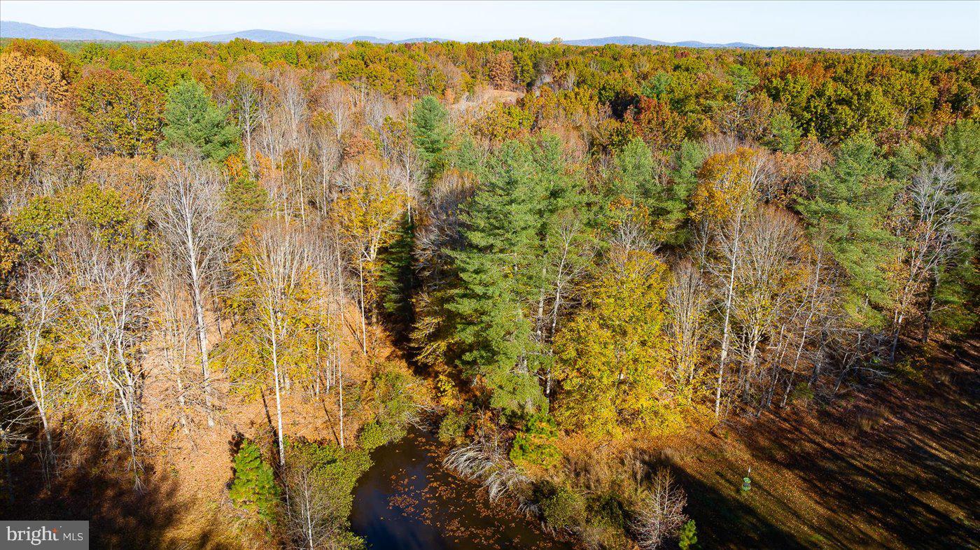 102 OAKMONT DR, GORDONSVILLE, Virginia 22942, ,Land,For sale,102 OAKMONT DR,VALA2008858 MLS # VALA2008858 102 OAKMONT DR, GORDONSVILLE, Virginia 22942, ,Land,For sale,102 OAKMONT DR,VALA2008858 MLS # VALA2008858