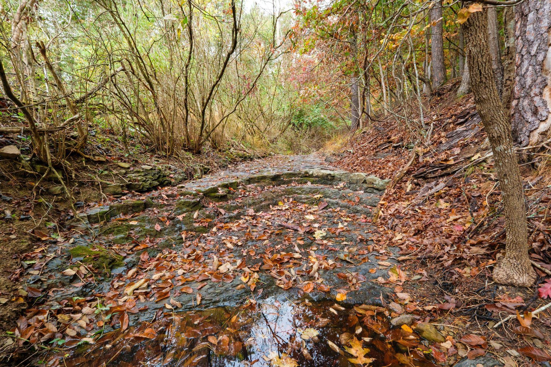 19692 OVERLY HOLLOW RD, BERGTON, Virginia 22811, 2 Bedrooms Bedrooms, ,1 BathroomBathrooms,Residential,19692 OVERLY HOLLOW RD,669403 MLS # 669403 19692 OVERLY HOLLOW RD, BERGTON, Virginia 22811, 2 Bedrooms Bedrooms, ,1 BathroomBathrooms,Residential,19692 OVERLY HOLLOW RD,669403 MLS # 669403