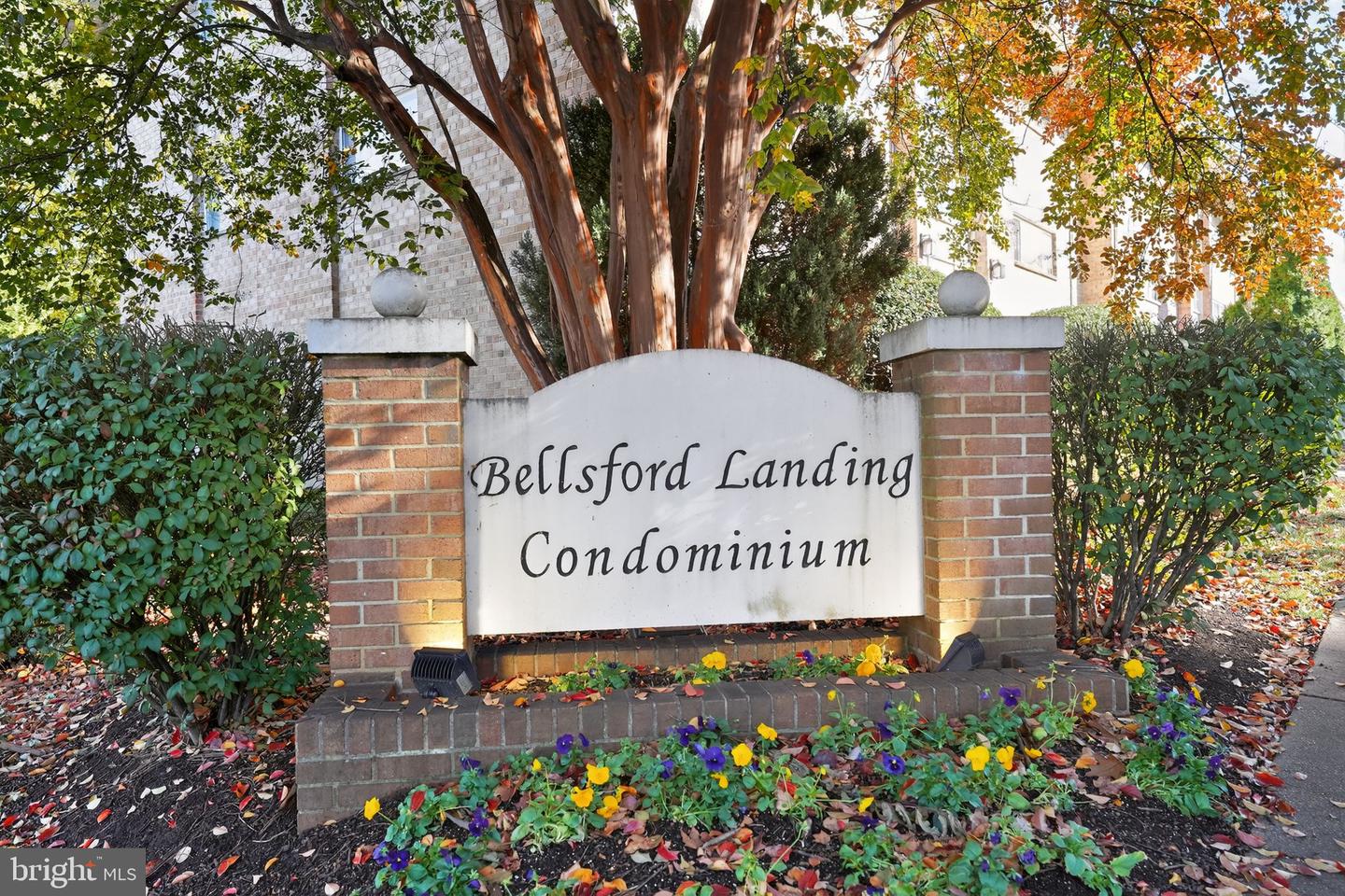 2821 KALMIA LEE CT #302, FALLS CHURCH, Virginia 22042, 1 Bedroom Bedrooms, ,1 BathroomBathrooms,Residential,For sale,2821 KALMIA LEE CT #302,VAFX2276788 MLS # VAFX2276788 2821 KALMIA LEE CT #302, FALLS CHURCH, Virginia 22042, 1 Bedroom Bedrooms, ,1 BathroomBathrooms,Residential,For sale,2821 KALMIA LEE CT #302,VAFX2276788 MLS # VAFX2276788