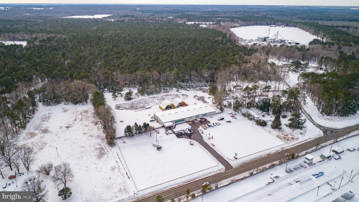 913 LONGFIELD RD, COLONIAL BEACH, Virginia 22443, ,Land,For sale,913 LONGFIELD RD,VAWE2008076 MLS # VAWE2008076 913 LONGFIELD RD, COLONIAL BEACH, Virginia 22443, ,Land,For sale,913 LONGFIELD RD,VAWE2008076 MLS # VAWE2008076