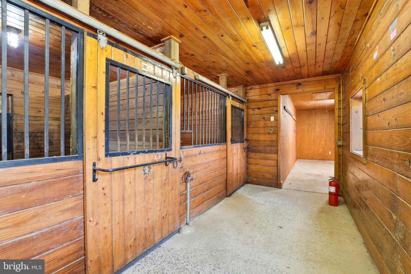 8021 OLYMPIC WAY, CULPEPER, Virginia 22701, ,Land,For sale,8021 OLYMPIC WAY,VACU2012002 MLS # VACU2012002 8021 OLYMPIC WAY, CULPEPER, Virginia 22701, ,Land,For sale,8021 OLYMPIC WAY,VACU2012002 MLS # VACU2012002