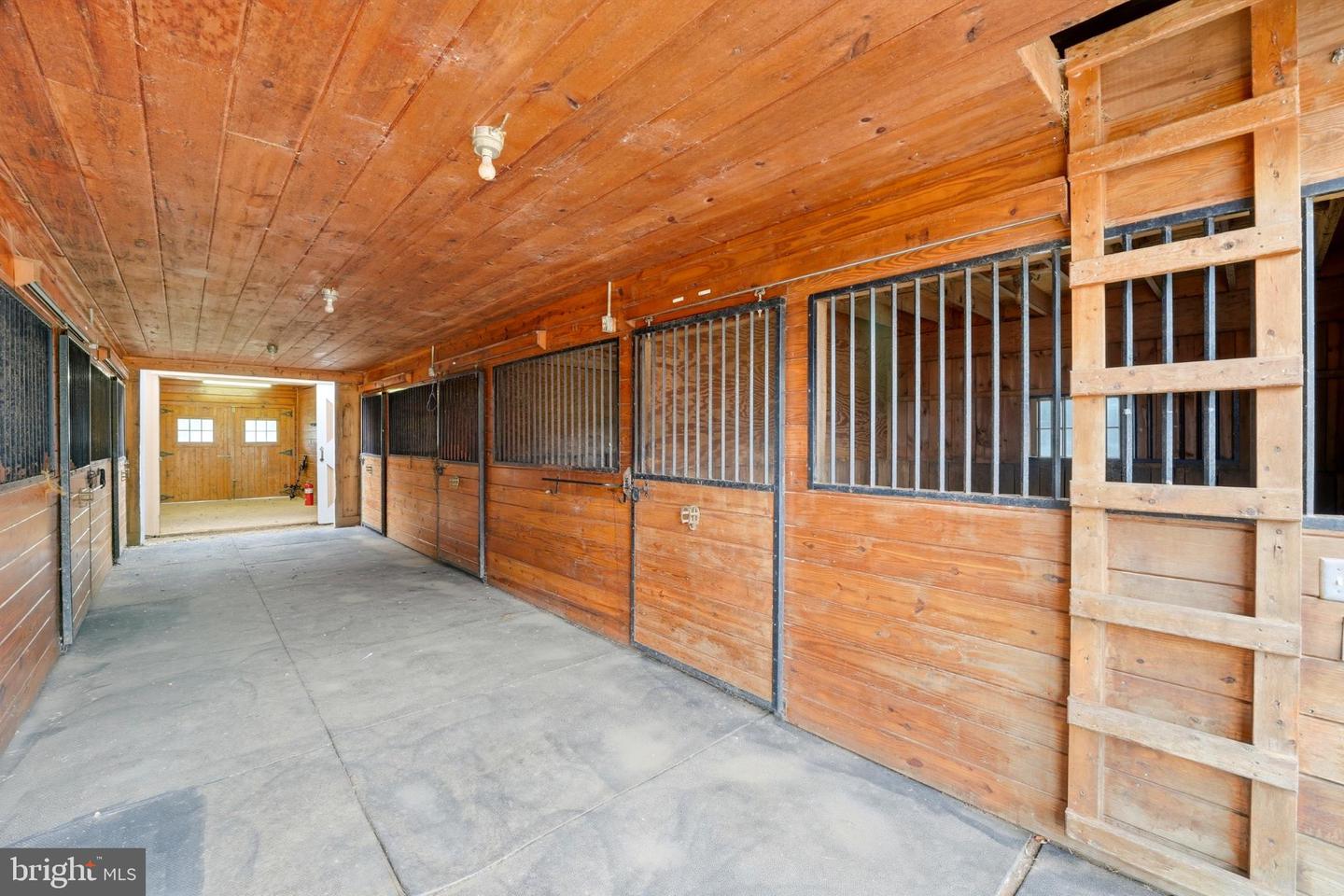 8021 OLYMPIC WAY, CULPEPER, Virginia 22701, ,Land,For sale,8021 OLYMPIC WAY,VACU2012002 MLS # VACU2012002 8021 OLYMPIC WAY, CULPEPER, Virginia 22701, ,Land,For sale,8021 OLYMPIC WAY,VACU2012002 MLS # VACU2012002