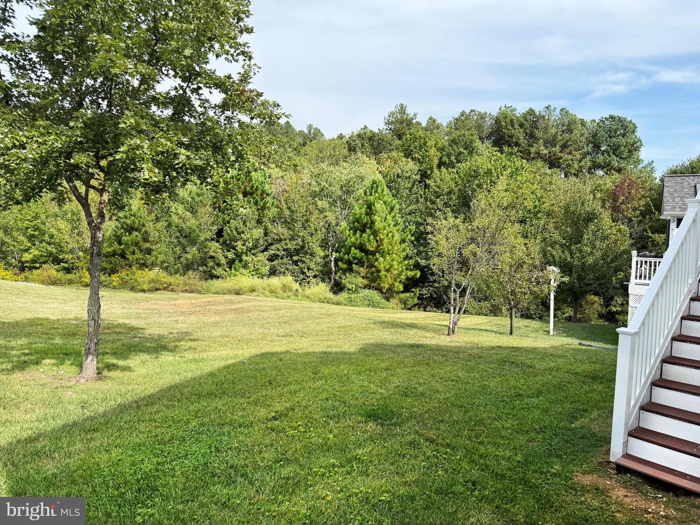 5503 BALLS BLUFF RD, FREDERICKSBURG, Virginia 22407, 3 Bedrooms Bedrooms, ,3 BathroomsBathrooms,Residential,For sale,5503 BALLS BLUFF RD,VASP2037412 MLS # VASP2037412 5503 BALLS BLUFF RD, FREDERICKSBURG, Virginia 22407, 3 Bedrooms Bedrooms, ,3 BathroomsBathrooms,Residential,For sale,5503 BALLS BLUFF RD,VASP2037412 MLS # VASP2037412