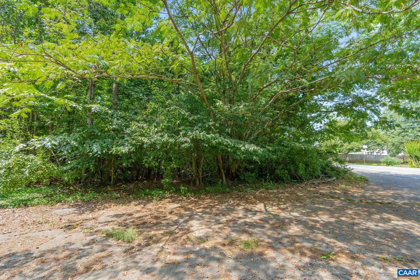 LOT PREDDY CREEK RD, BARBOURSVILLE, Virginia 22923, ,Land,For sale,LOT PREDDY CREEK RD,655329 MLS # 655329 LOT PREDDY CREEK RD, BARBOURSVILLE, Virginia 22923, ,Land,For sale,LOT PREDDY CREEK RD,655329 MLS # 655329