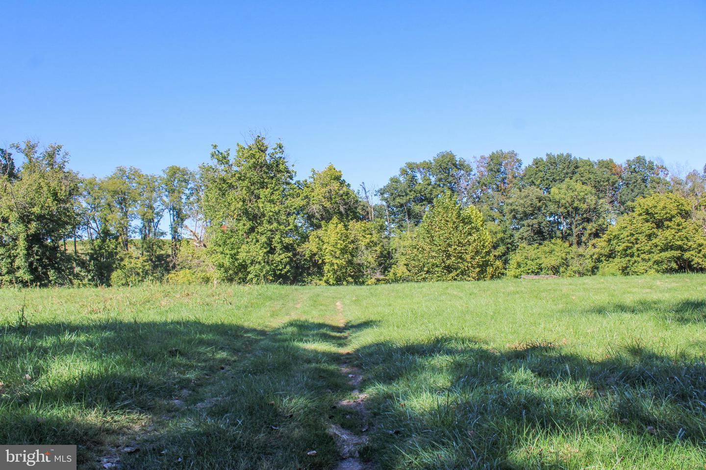 0 STAGE COACH ROAD, WOODSTOCK, Virginia 22664, ,Land,For sale,0 STAGE COACH ROAD,VASH2010970 MLS # VASH2010970 0 STAGE COACH ROAD, WOODSTOCK, Virginia 22664, ,Land,For sale,0 STAGE COACH ROAD,VASH2010970 MLS # VASH2010970