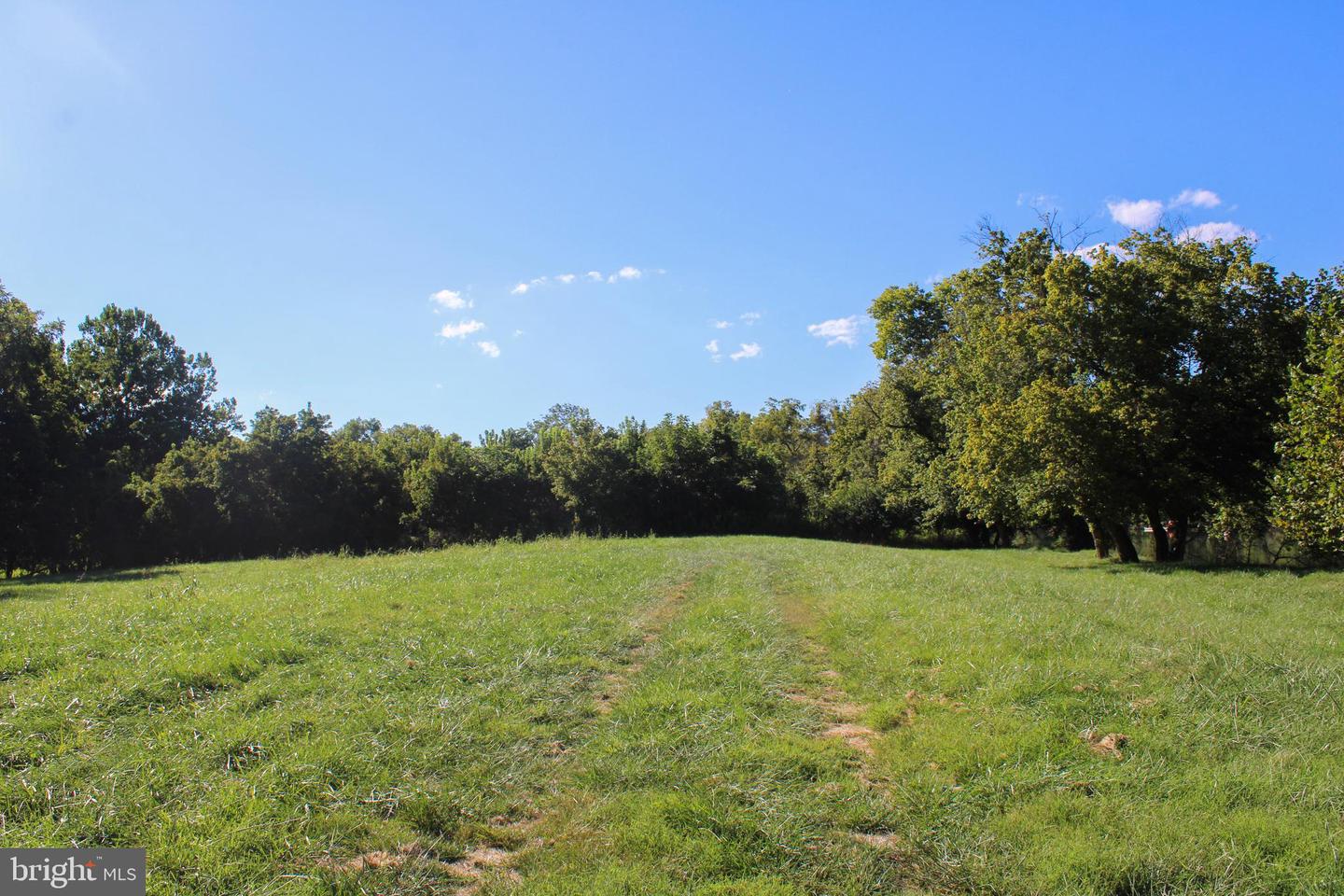 0 STAGE COACH ROAD, WOODSTOCK, Virginia 22664, ,Land,For sale,0 STAGE COACH ROAD,VASH2010970 MLS # VASH2010970 0 STAGE COACH ROAD, WOODSTOCK, Virginia 22664, ,Land,For sale,0 STAGE COACH ROAD,VASH2010970 MLS # VASH2010970