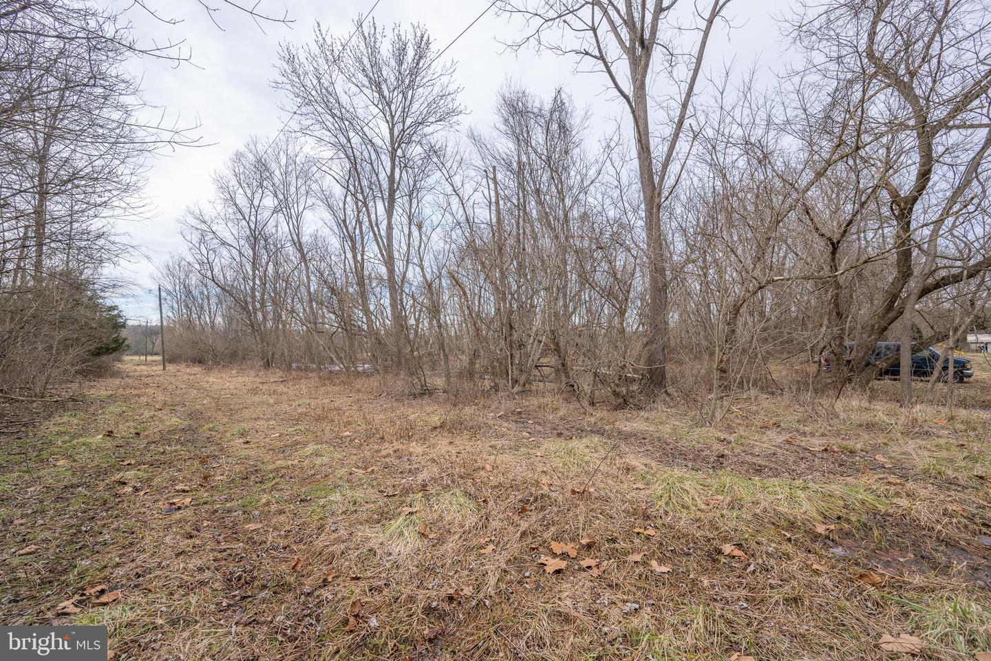 0 STAGE COACH ROAD, WOODSTOCK, Virginia 22664, ,Land,For sale,0 STAGE COACH ROAD,VASH2010970 MLS # VASH2010970 0 STAGE COACH ROAD, WOODSTOCK, Virginia 22664, ,Land,For sale,0 STAGE COACH ROAD,VASH2010970 MLS # VASH2010970