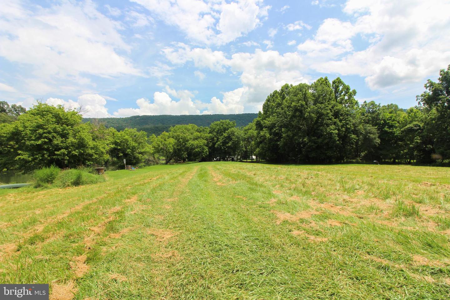 0 STAGE COACH ROAD, WOODSTOCK, Virginia 22664, ,Land,For sale,0 STAGE COACH ROAD,VASH2010970 MLS # VASH2010970 0 STAGE COACH ROAD, WOODSTOCK, Virginia 22664, ,Land,For sale,0 STAGE COACH ROAD,VASH2010970 MLS # VASH2010970