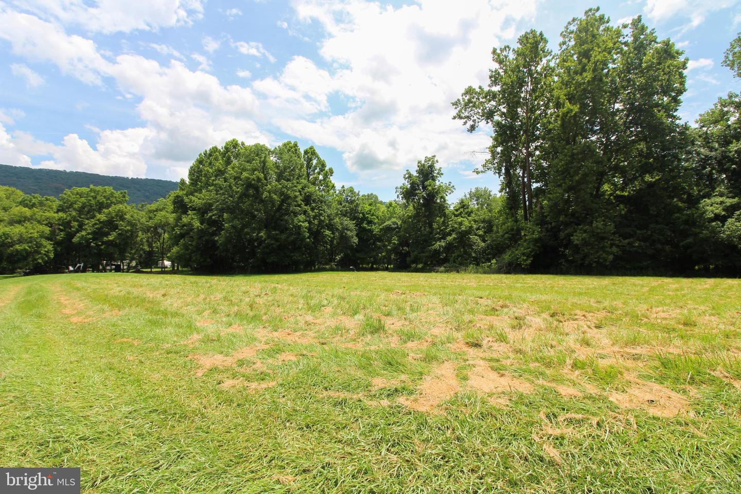 0 STAGE COACH ROAD, WOODSTOCK, Virginia 22664, ,Land,For sale,0 STAGE COACH ROAD,VASH2010970 MLS # VASH2010970 0 STAGE COACH ROAD, WOODSTOCK, Virginia 22664, ,Land,For sale,0 STAGE COACH ROAD,VASH2010970 MLS # VASH2010970