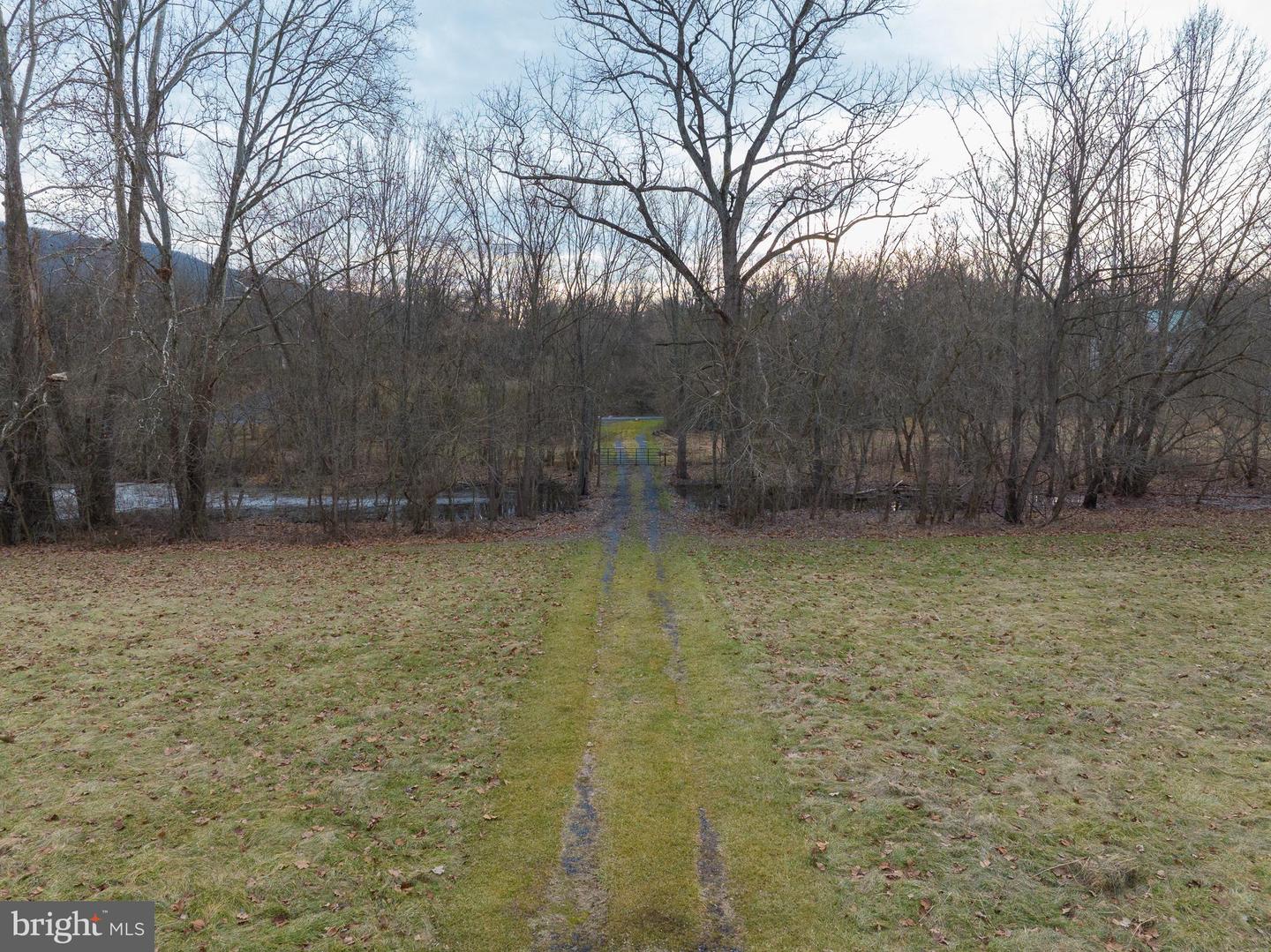 STAGE COACH ROAD, WOODSTOCK, Virginia 22664, ,Land,For sale,STAGE COACH ROAD,VASH2011000 MLS # VASH2011000 STAGE COACH ROAD, WOODSTOCK, Virginia 22664, ,Land,For sale,STAGE COACH ROAD,VASH2011000 MLS # VASH2011000