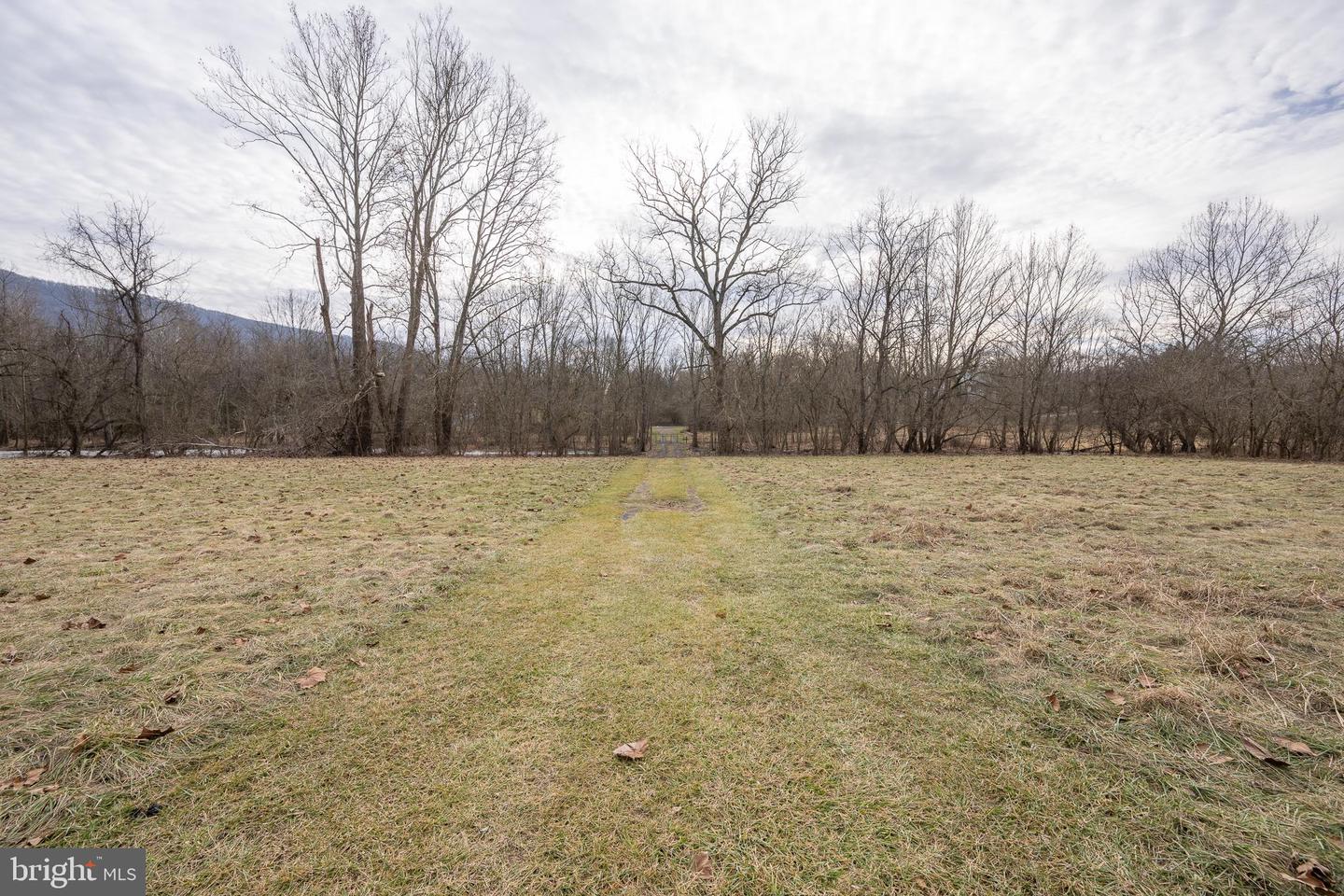 STAGE COACH ROAD, WOODSTOCK, Virginia 22664, ,Land,For sale,STAGE COACH ROAD,VASH2011000 MLS # VASH2011000 STAGE COACH ROAD, WOODSTOCK, Virginia 22664, ,Land,For sale,STAGE COACH ROAD,VASH2011000 MLS # VASH2011000