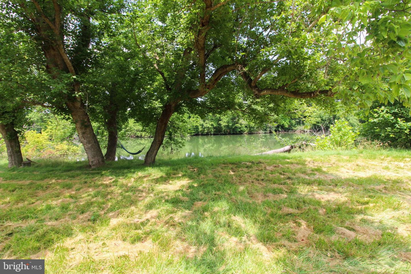 STAGE COACH ROAD, WOODSTOCK, Virginia 22664, ,Land,For sale,STAGE COACH ROAD,VASH2011000 MLS # VASH2011000 STAGE COACH ROAD, WOODSTOCK, Virginia 22664, ,Land,For sale,STAGE COACH ROAD,VASH2011000 MLS # VASH2011000