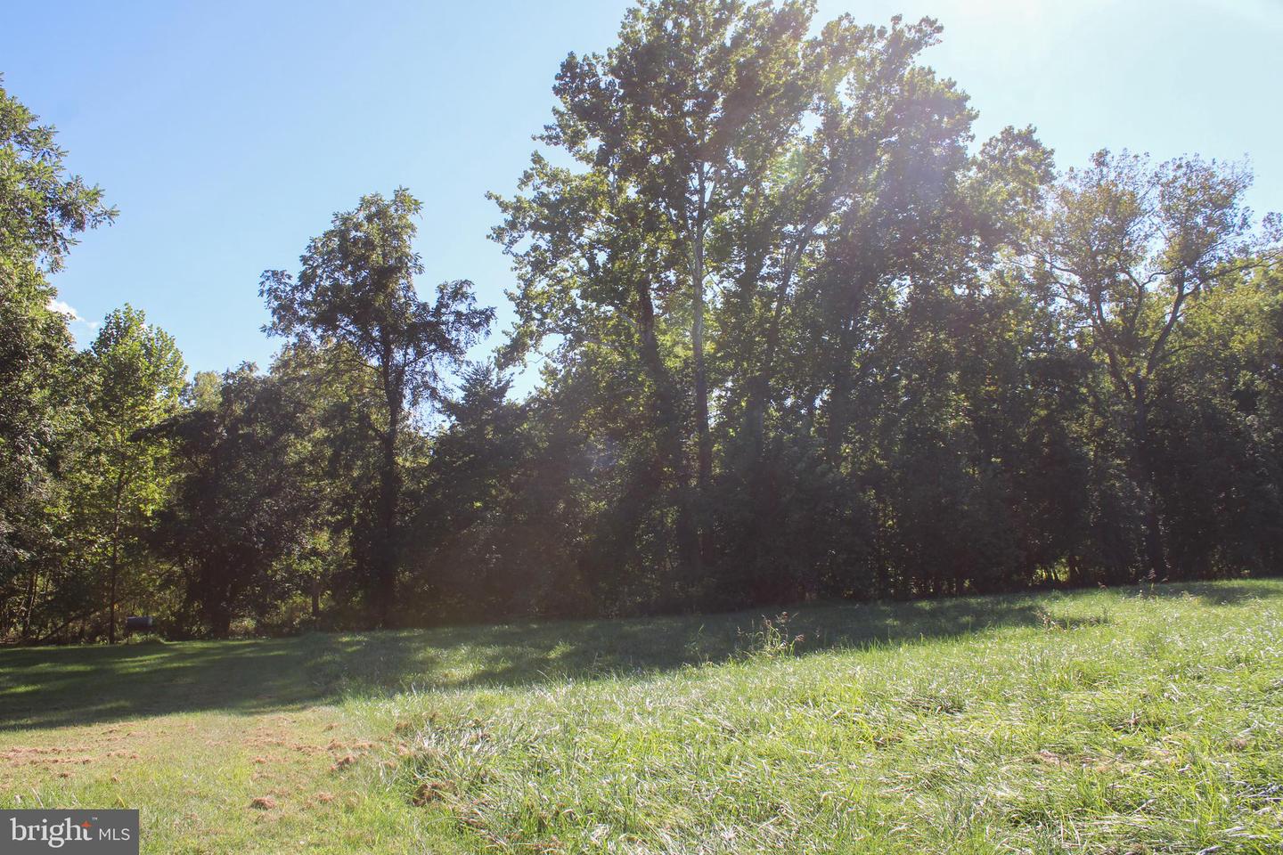 STAGE COACH ROAD, WOODSTOCK, Virginia 22664, ,Land,For sale,STAGE COACH ROAD,VASH2011000 MLS # VASH2011000 STAGE COACH ROAD, WOODSTOCK, Virginia 22664, ,Land,For sale,STAGE COACH ROAD,VASH2011000 MLS # VASH2011000