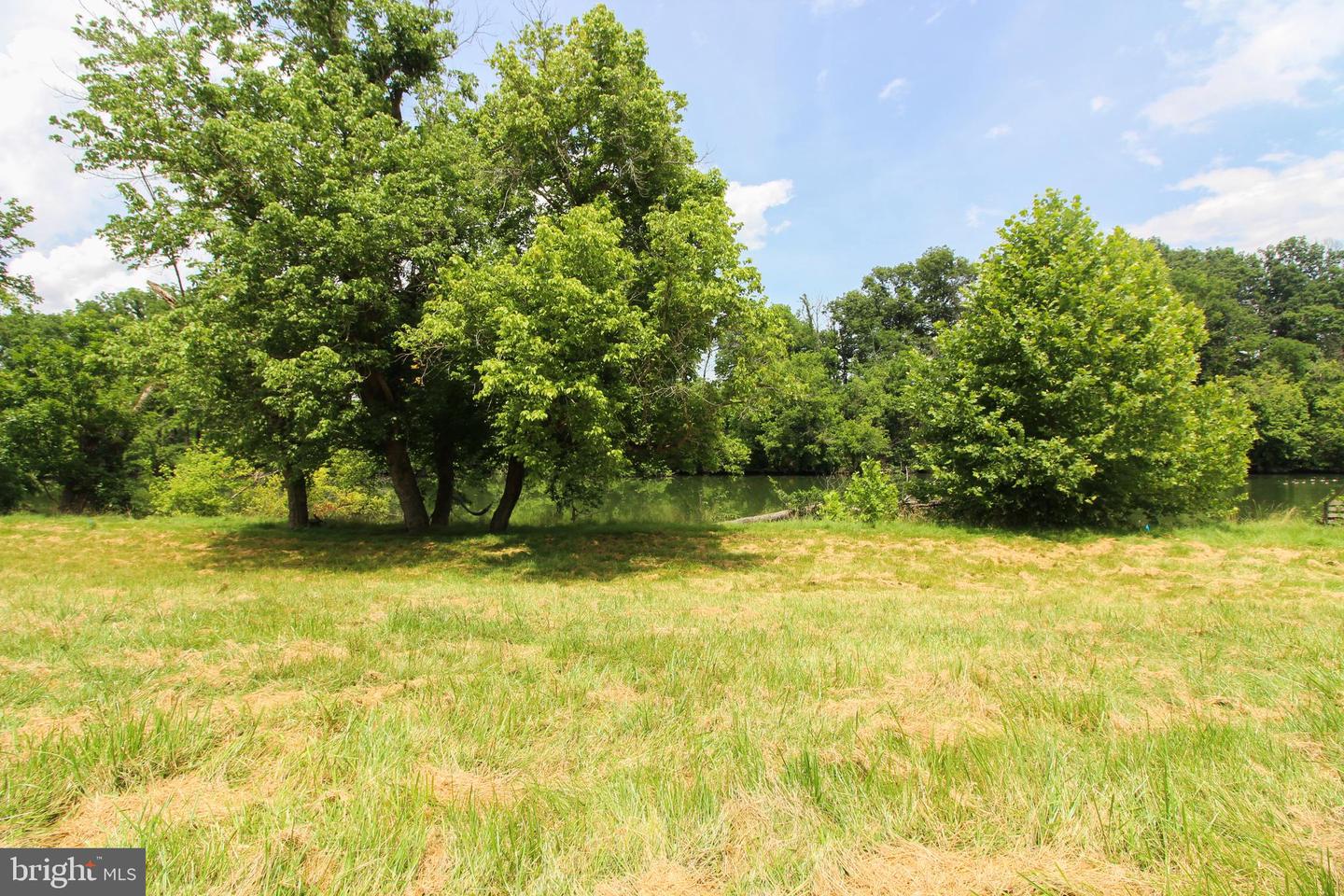 STAGE COACH ROAD, WOODSTOCK, Virginia 22664, ,Land,For sale,STAGE COACH ROAD,VASH2011000 MLS # VASH2011000 STAGE COACH ROAD, WOODSTOCK, Virginia 22664, ,Land,For sale,STAGE COACH ROAD,VASH2011000 MLS # VASH2011000