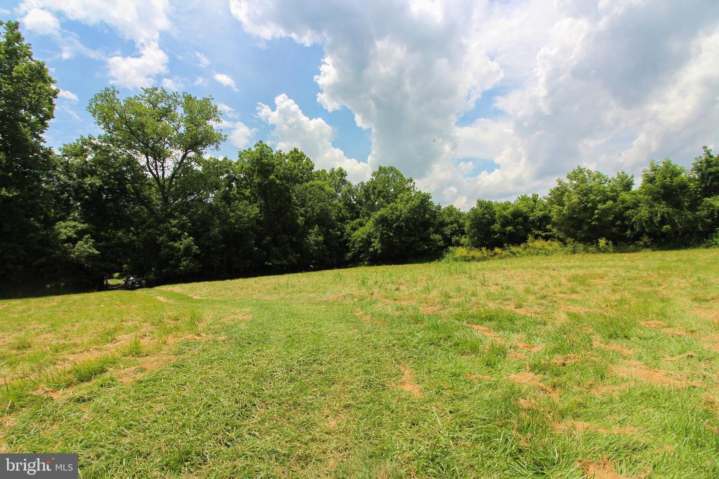 STAGE COACH ROAD, WOODSTOCK, Virginia 22664, ,Land,For sale,STAGE COACH ROAD,VASH2011000 MLS # VASH2011000 STAGE COACH ROAD, WOODSTOCK, Virginia 22664, ,Land,For sale,STAGE COACH ROAD,VASH2011000 MLS # VASH2011000