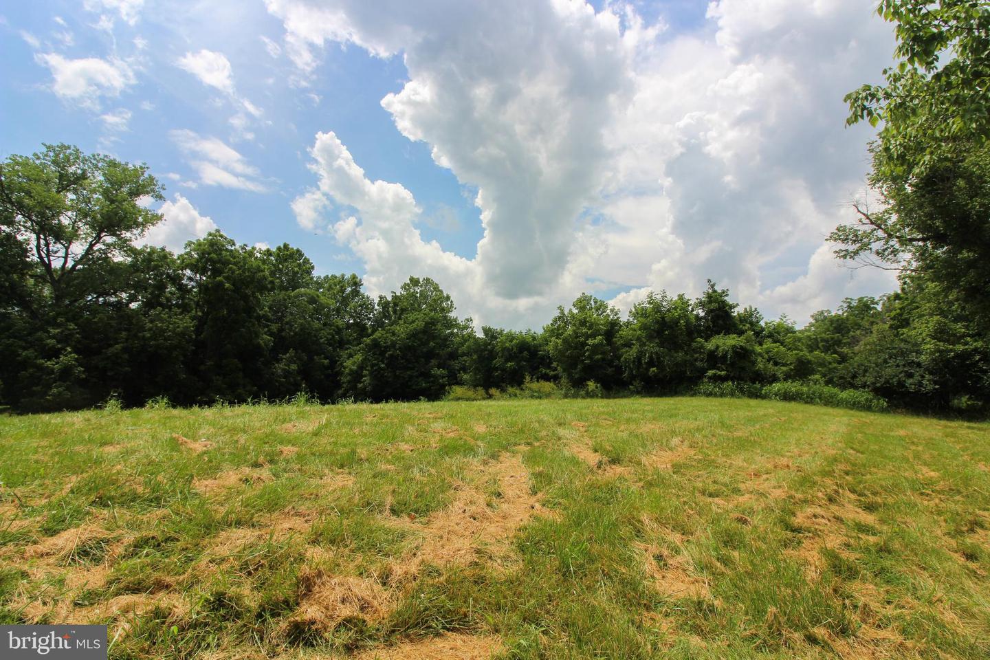 STAGE COACH ROAD, WOODSTOCK, Virginia 22664, ,Land,For sale,STAGE COACH ROAD,VASH2011000 MLS # VASH2011000 STAGE COACH ROAD, WOODSTOCK, Virginia 22664, ,Land,For sale,STAGE COACH ROAD,VASH2011000 MLS # VASH2011000