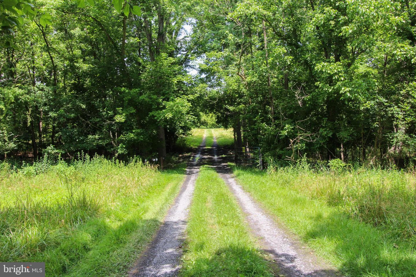 STAGE COACH ROAD, WOODSTOCK, Virginia 22664, ,Land,For sale,STAGE COACH ROAD,VASH2011000 MLS # VASH2011000 STAGE COACH ROAD, WOODSTOCK, Virginia 22664, ,Land,For sale,STAGE COACH ROAD,VASH2011000 MLS # VASH2011000