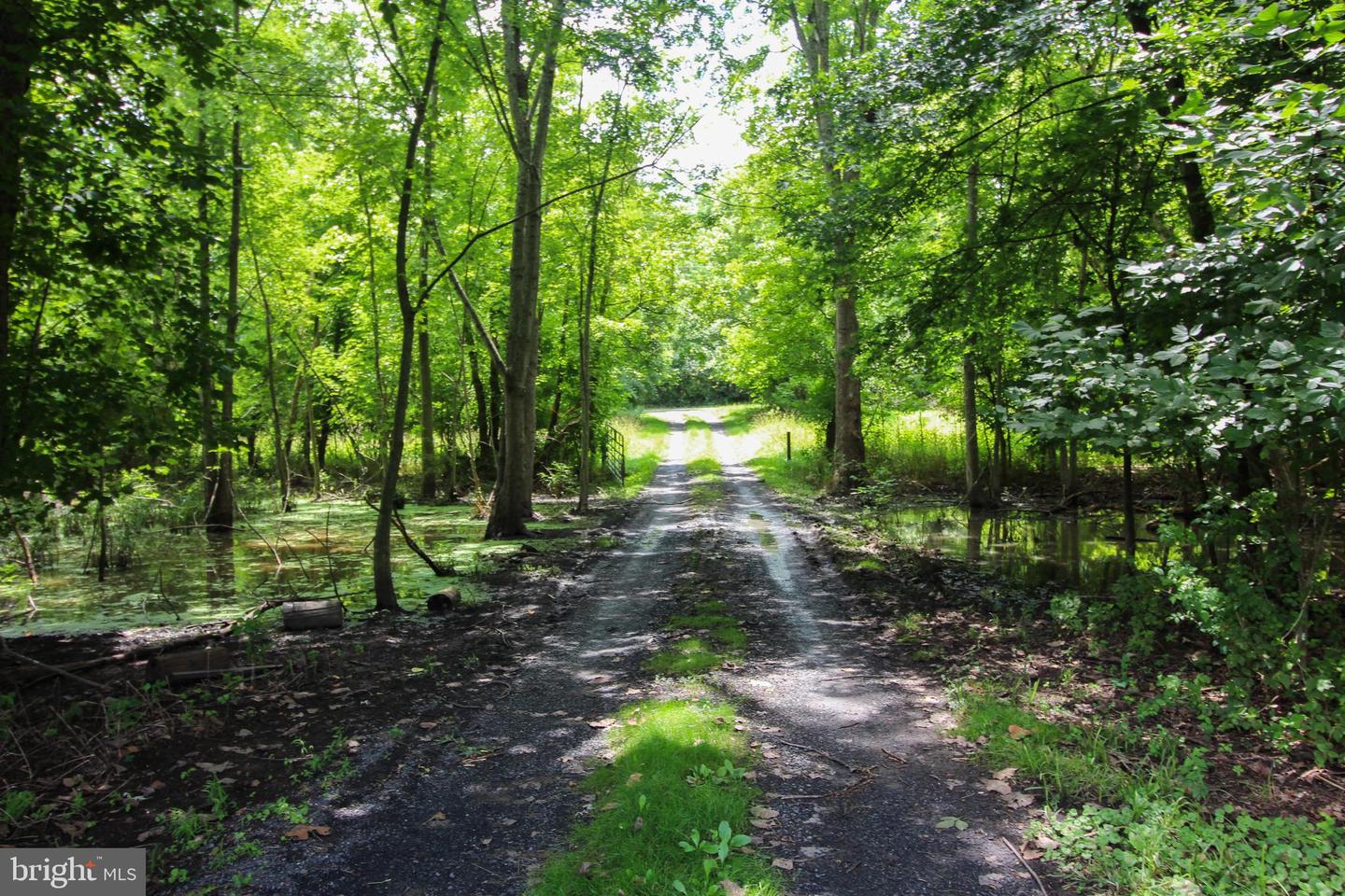STAGE COACH ROAD, WOODSTOCK, Virginia 22664, ,Land,For sale,STAGE COACH ROAD,VASH2011000 MLS # VASH2011000 STAGE COACH ROAD, WOODSTOCK, Virginia 22664, ,Land,For sale,STAGE COACH ROAD,VASH2011000 MLS # VASH2011000