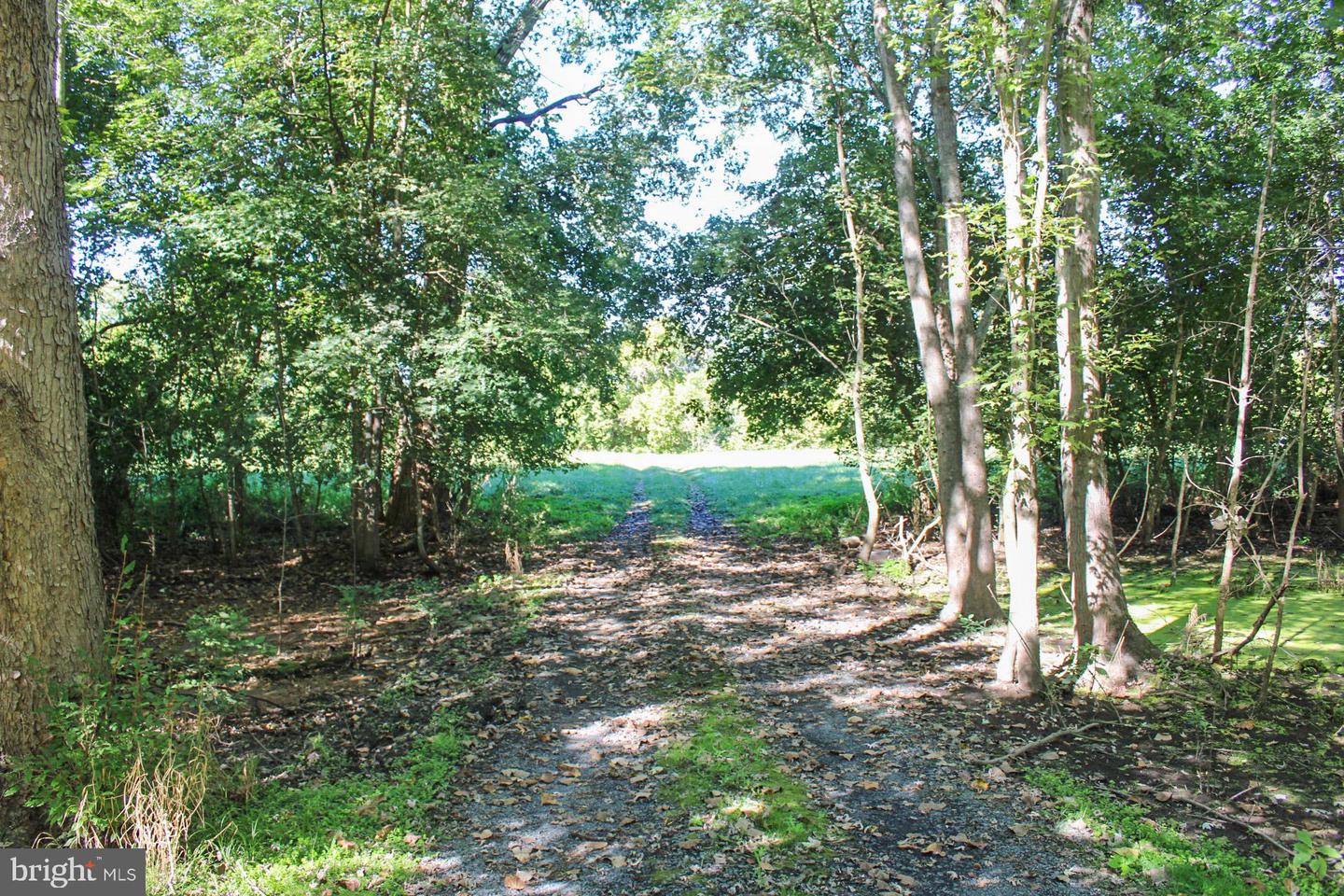 STAGE COACH ROAD, WOODSTOCK, Virginia 22664, ,Land,For sale,STAGE COACH ROAD,VASH2011000 MLS # VASH2011000 STAGE COACH ROAD, WOODSTOCK, Virginia 22664, ,Land,For sale,STAGE COACH ROAD,VASH2011000 MLS # VASH2011000