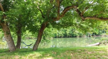 STAGE COACH ROAD, WOODSTOCK, Virginia 22664, ,Land,For sale,STAGE COACH ROAD,VASH2011000 MLS # VASH2011000