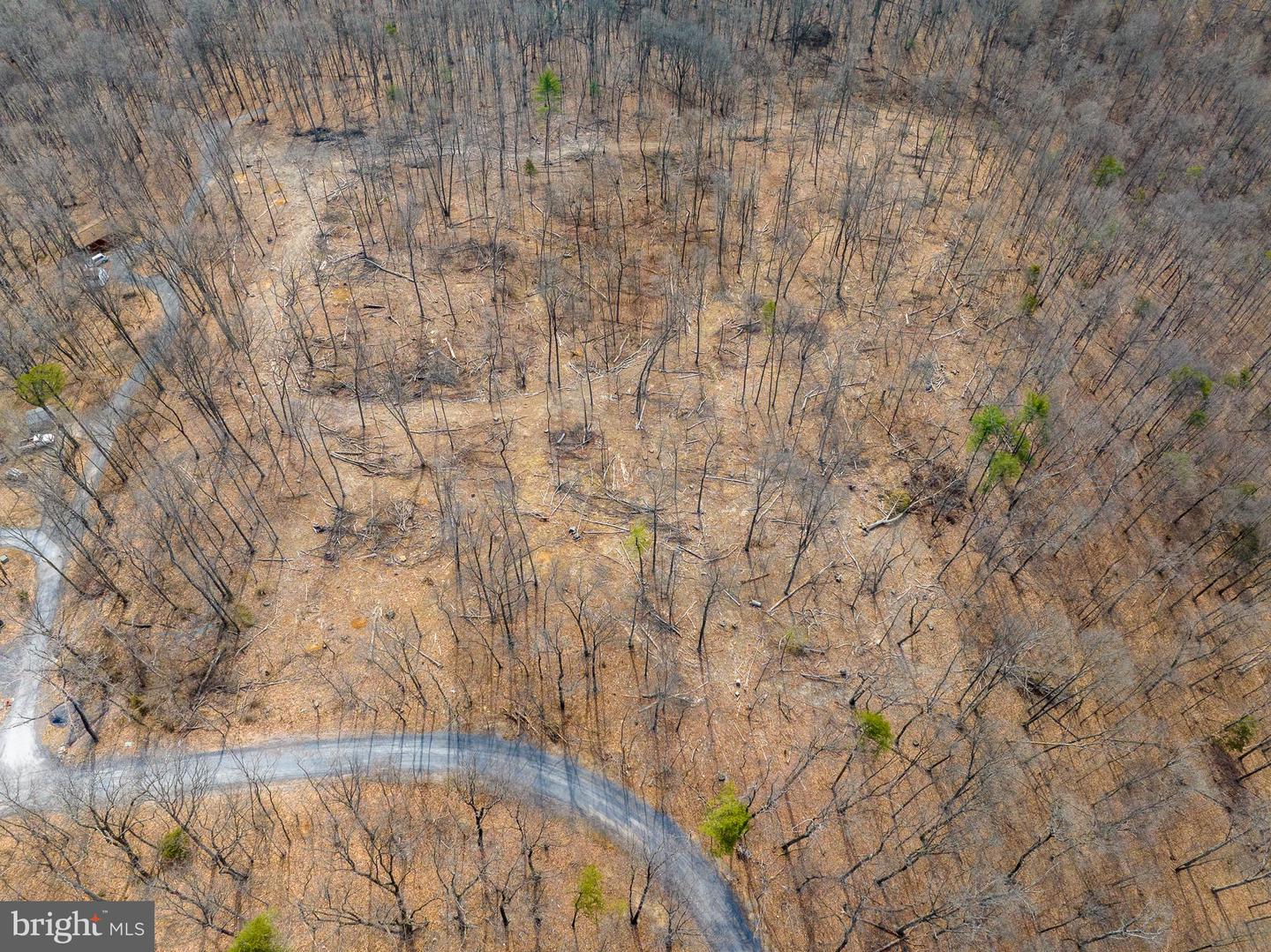 0 HILLTOP / MOCKINGBIRD LANE LOT 19, MOUNT JACKSON, Virginia 22842, ,Land,For sale,0 HILLTOP / MOCKINGBIRD LANE LOT 19,VASH2011100 MLS # VASH2011100 0 HILLTOP / MOCKINGBIRD LANE LOT 19, MOUNT JACKSON, Virginia 22842, ,Land,For sale,0 HILLTOP / MOCKINGBIRD LANE LOT 19,VASH2011100 MLS # VASH2011100