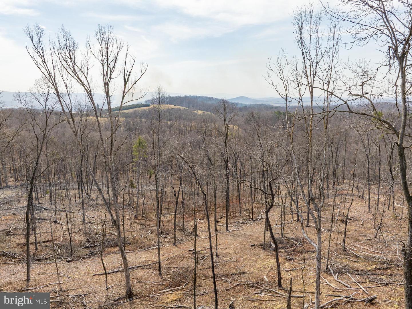 0 HILLTOP / MOCKINGBIRD LANE LOT 19, MOUNT JACKSON, Virginia 22842, ,Land,For sale,0 HILLTOP / MOCKINGBIRD LANE LOT 19,VASH2011100 MLS # VASH2011100 0 HILLTOP / MOCKINGBIRD LANE LOT 19, MOUNT JACKSON, Virginia 22842, ,Land,For sale,0 HILLTOP / MOCKINGBIRD LANE LOT 19,VASH2011100 MLS # VASH2011100