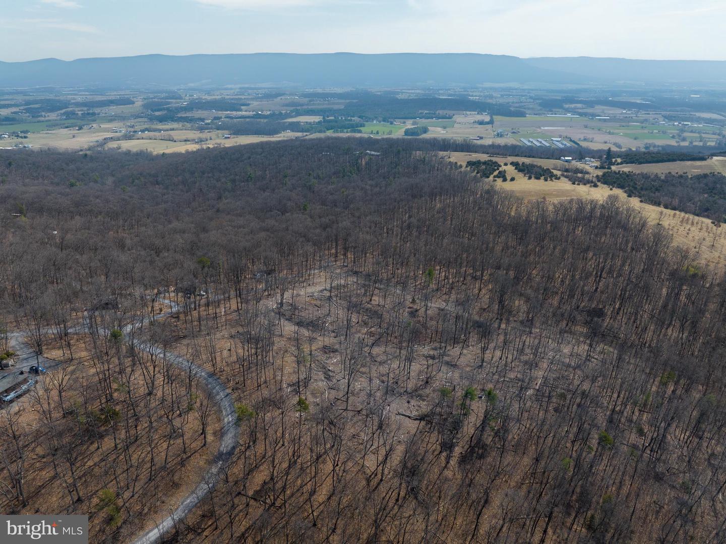 0 HILLTOP / MOCKINGBIRD LANE LOT 19, MOUNT JACKSON, Virginia 22842, ,Land,For sale,0 HILLTOP / MOCKINGBIRD LANE LOT 19,VASH2011100 MLS # VASH2011100 0 HILLTOP / MOCKINGBIRD LANE LOT 19, MOUNT JACKSON, Virginia 22842, ,Land,For sale,0 HILLTOP / MOCKINGBIRD LANE LOT 19,VASH2011100 MLS # VASH2011100