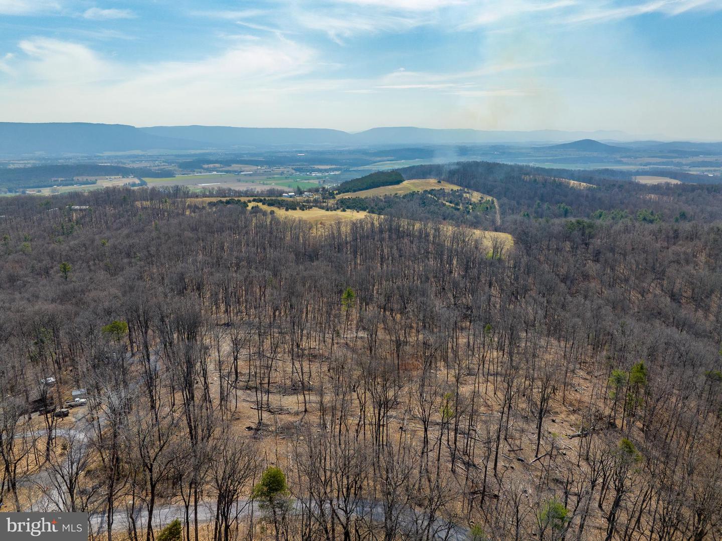 0 HILLTOP / MOCKINGBIRD LANE LOT 19, MOUNT JACKSON, Virginia 22842, ,Land,For sale,0 HILLTOP / MOCKINGBIRD LANE LOT 19,VASH2011100 MLS # VASH2011100 0 HILLTOP / MOCKINGBIRD LANE LOT 19, MOUNT JACKSON, Virginia 22842, ,Land,For sale,0 HILLTOP / MOCKINGBIRD LANE LOT 19,VASH2011100 MLS # VASH2011100
