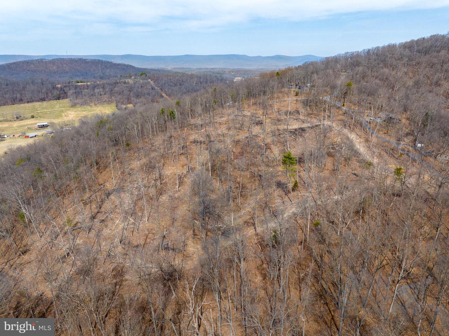 0 MOCKINGBIRD LANE- LOT 21, MOUNT JACKSON, Virginia 22842, ,Land,For sale,0 MOCKINGBIRD LANE- LOT 21,VASH2011104 MLS # VASH2011104 0 MOCKINGBIRD LANE- LOT 21, MOUNT JACKSON, Virginia 22842, ,Land,For sale,0 MOCKINGBIRD LANE- LOT 21,VASH2011104 MLS # VASH2011104