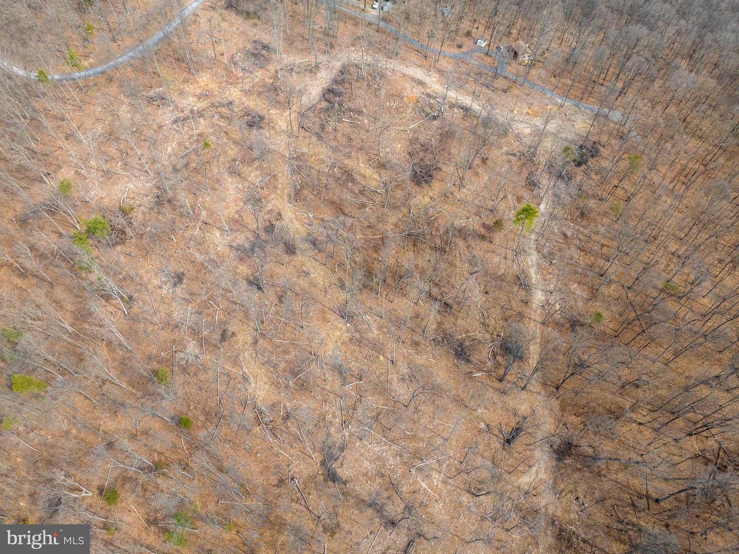 0 MOCKINGBIRD LANE- LOT 21, MOUNT JACKSON, Virginia 22842, ,Land,For sale,0 MOCKINGBIRD LANE- LOT 21,VASH2011104 MLS # VASH2011104 0 MOCKINGBIRD LANE- LOT 21, MOUNT JACKSON, Virginia 22842, ,Land,For sale,0 MOCKINGBIRD LANE- LOT 21,VASH2011104 MLS # VASH2011104