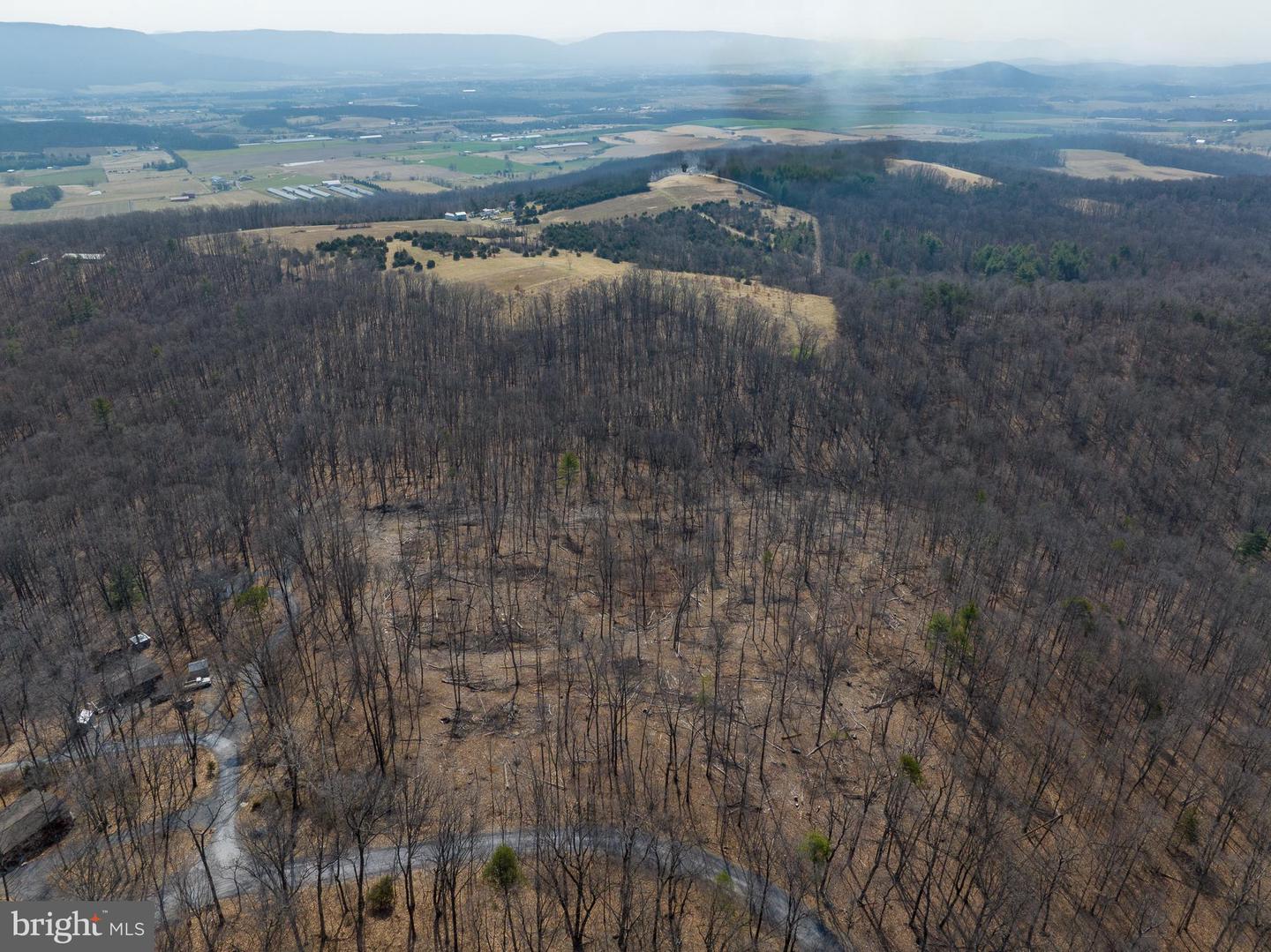 0 MOCKINGBIRD LANE- LOT 21, MOUNT JACKSON, Virginia 22842, ,Land,For sale,0 MOCKINGBIRD LANE- LOT 21,VASH2011104 MLS # VASH2011104 0 MOCKINGBIRD LANE- LOT 21, MOUNT JACKSON, Virginia 22842, ,Land,For sale,0 MOCKINGBIRD LANE- LOT 21,VASH2011104 MLS # VASH2011104